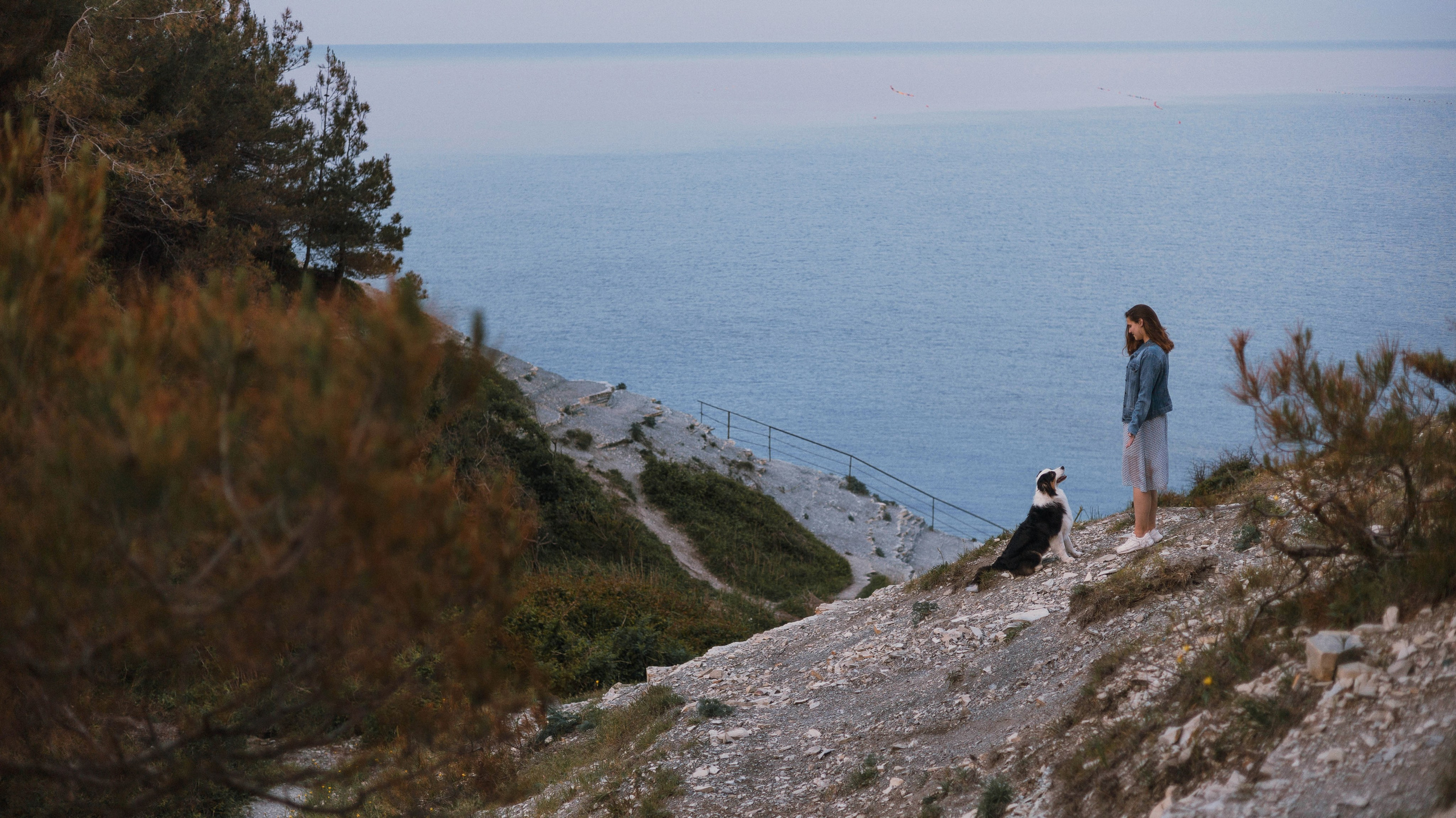 Ира и Джесс. Фотограф-анималист Богданова Полина