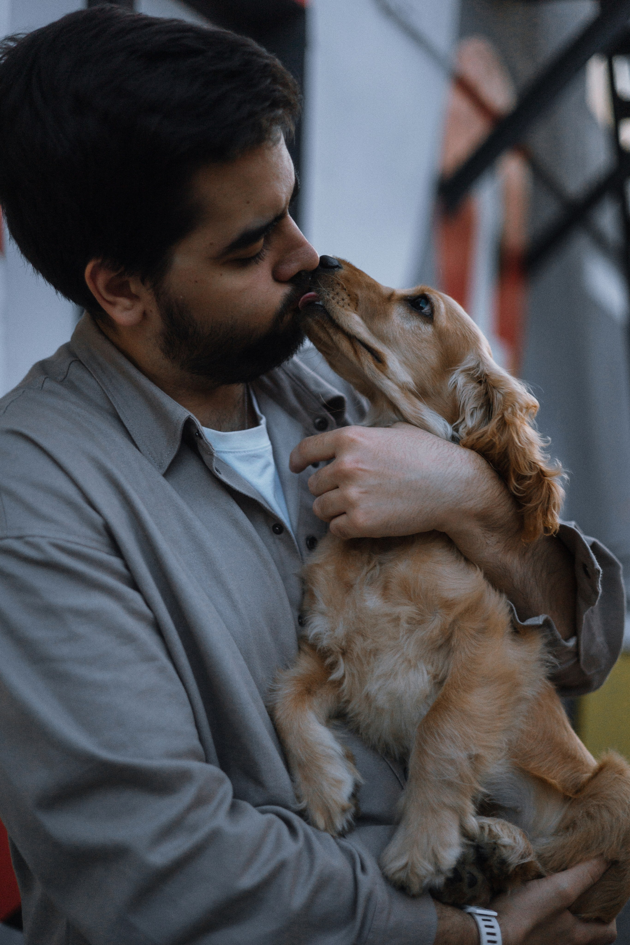Аня, Андрей и Юта. Фотограф-анималист Богданова Полина