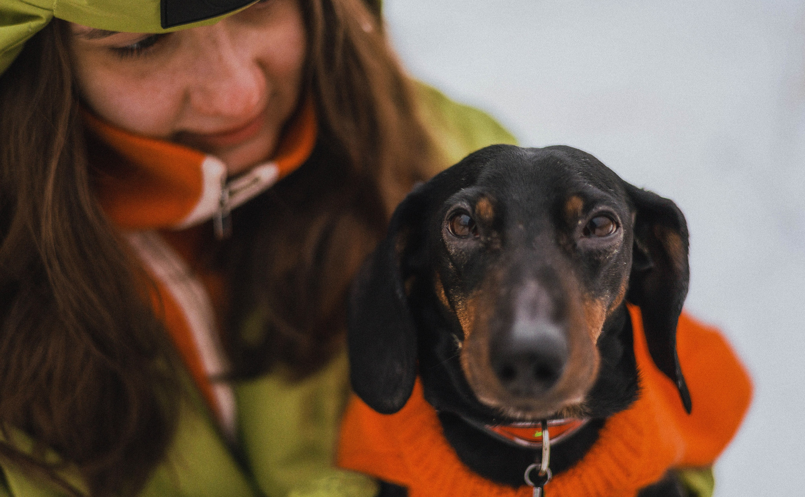 Маша, Рэм и Ньютон. Фотограф-анималист Богданова Полина