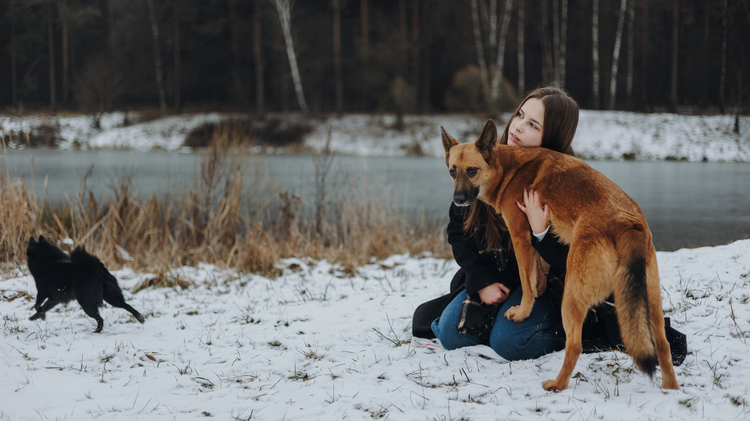 Юля, Лара и Йоми. Фотограф-анималист Богданова Полина