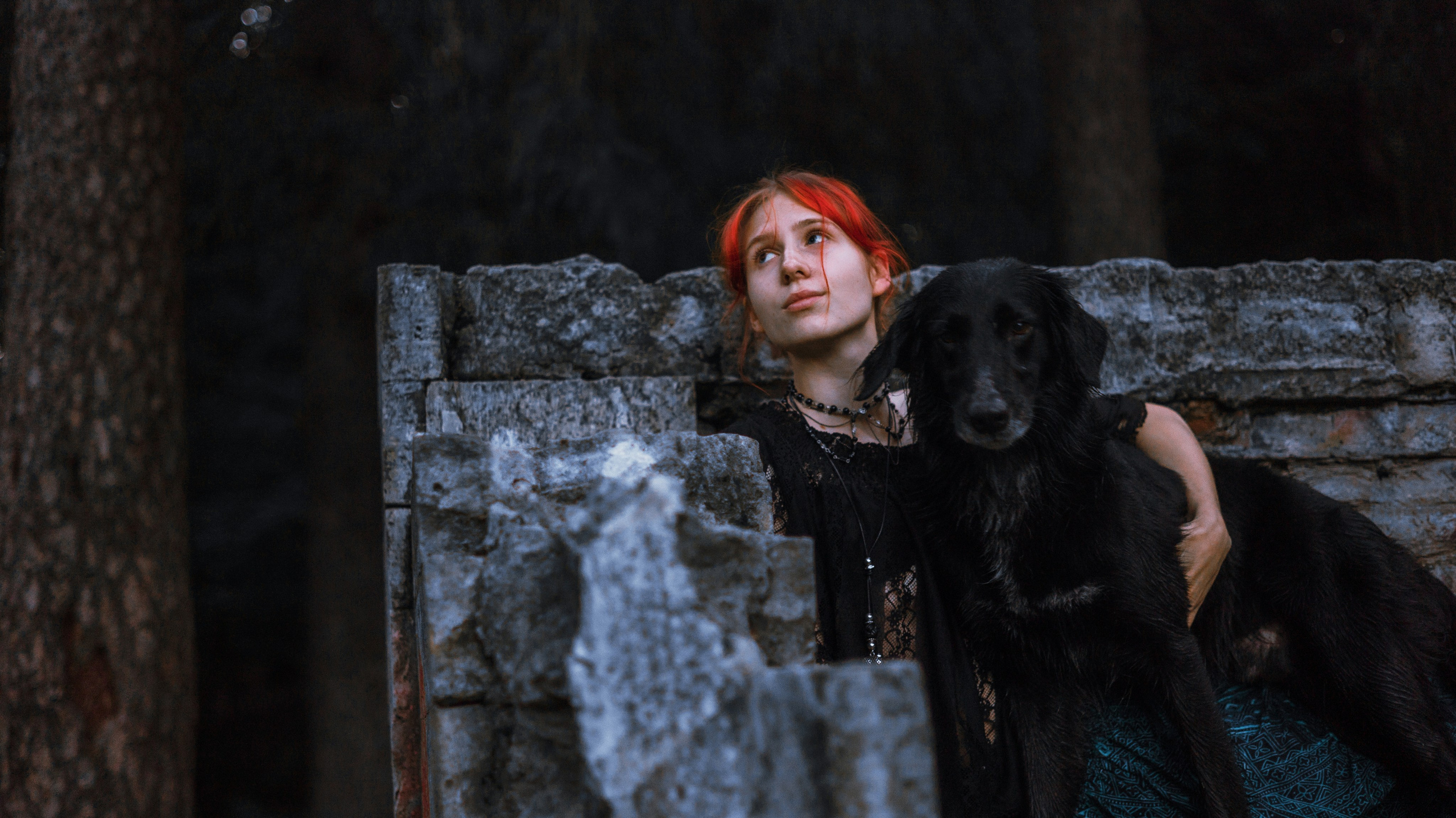 Лиза и Коди. Фотограф-анималист Богданова Полина