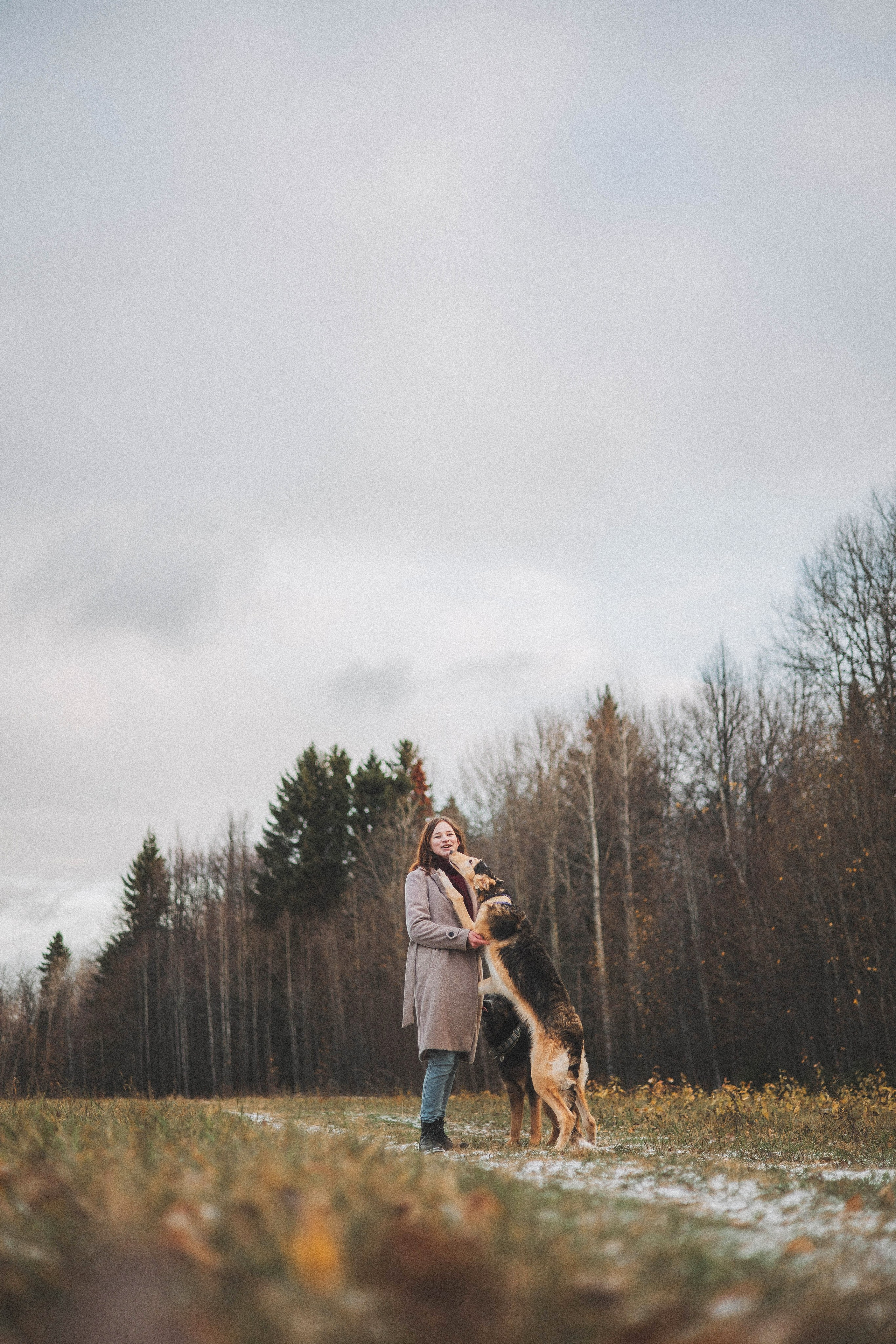 Алена, Леви и Микаса. Фотограф-анималист Богданова Полина