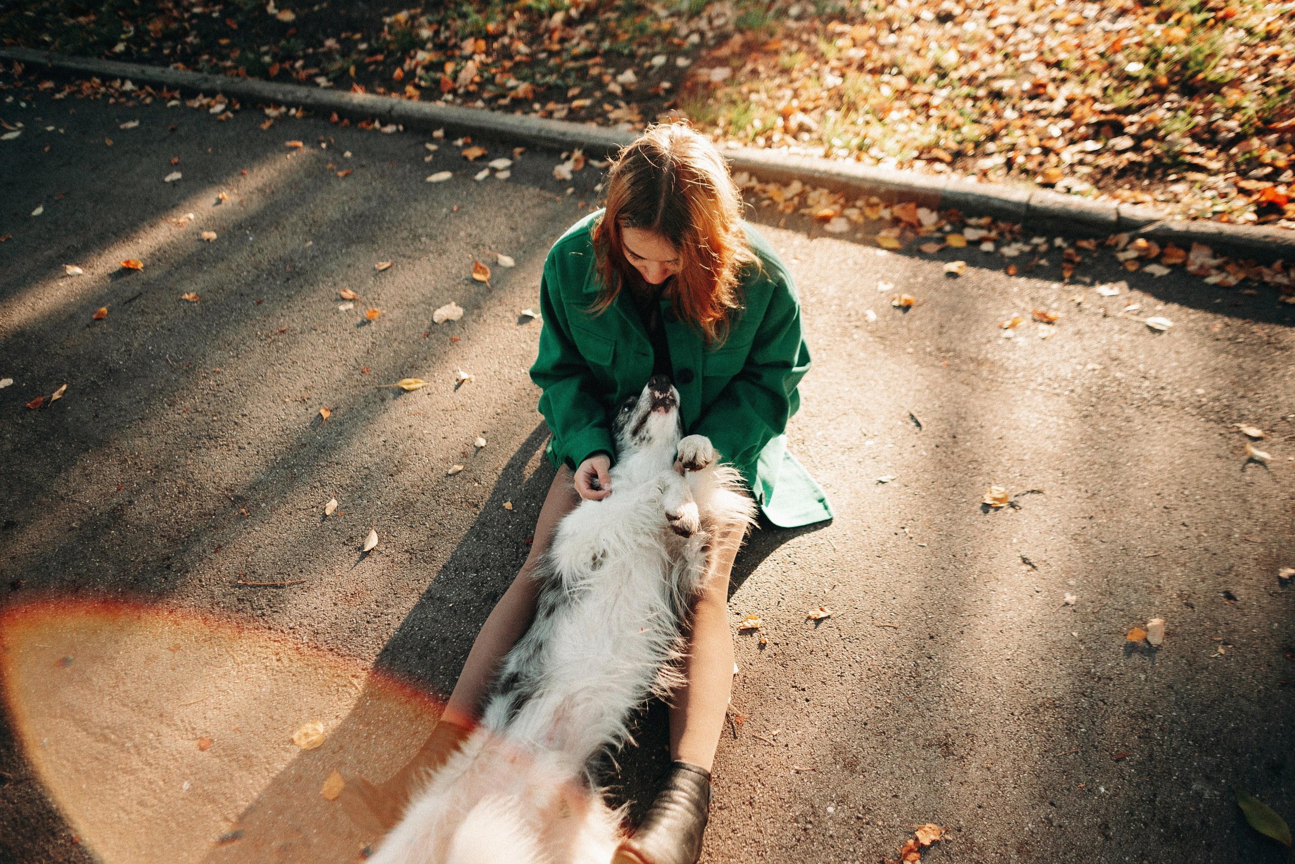 Диана и Робин. Фотограф-анималист Богданова Полина
