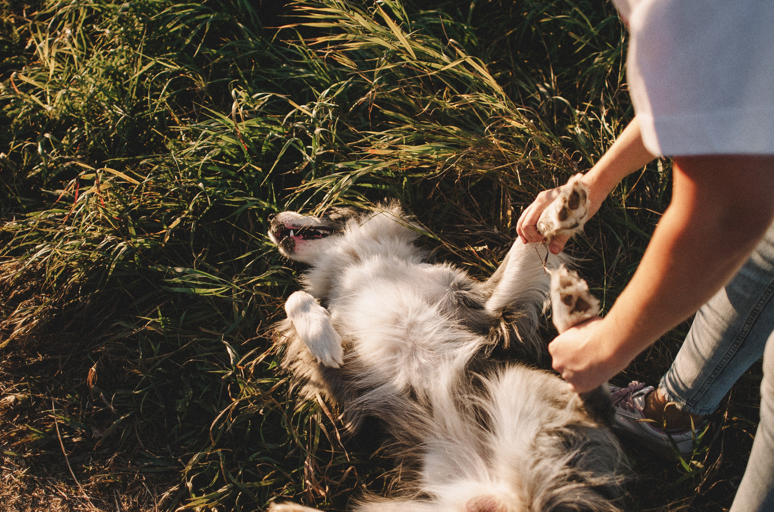 Таня и Бриллиант. Фотограф-анималист Богданова Полина