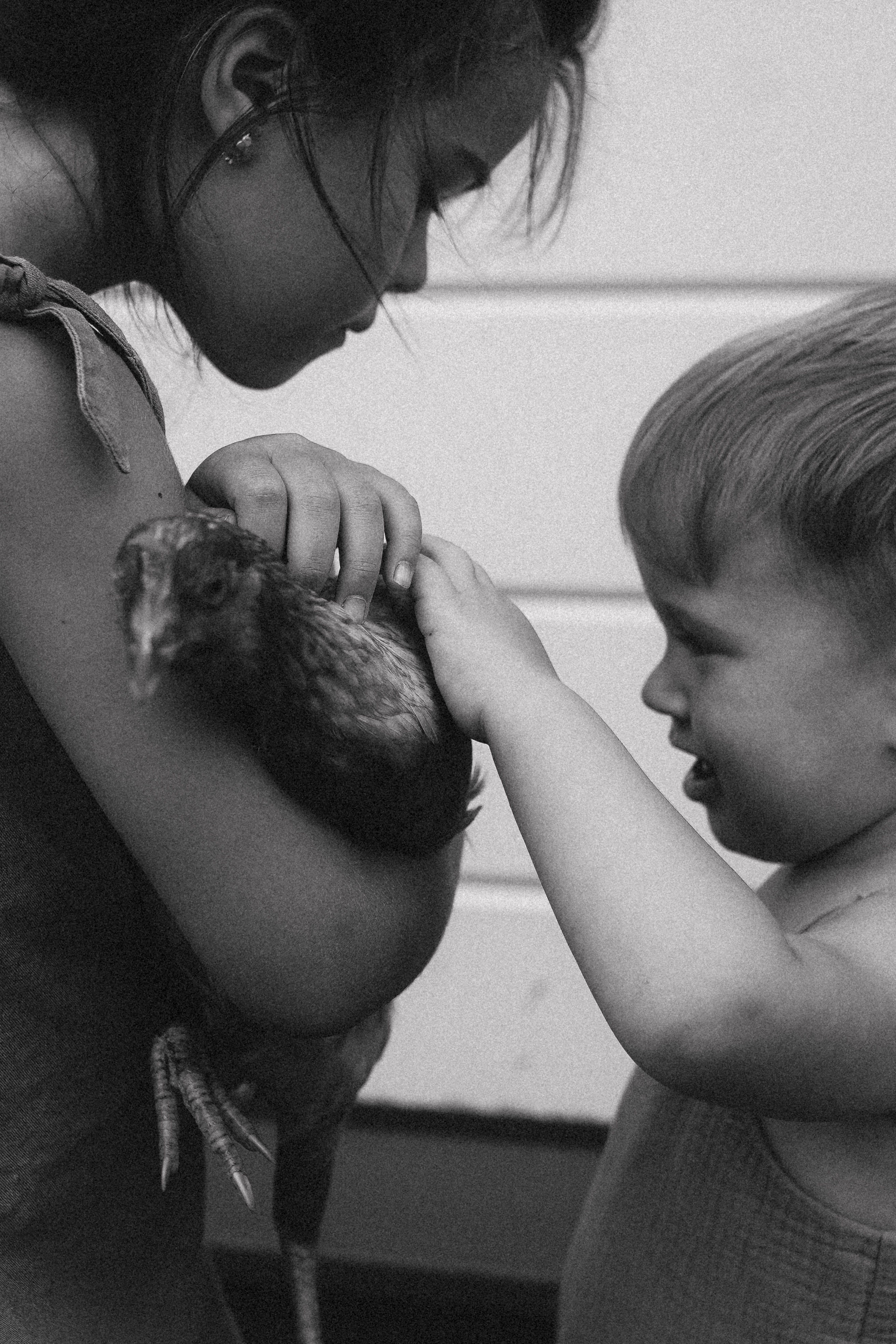 В деревне. Фотограф в Челябинске и Санкт-Петербурге Анна Ивашкова