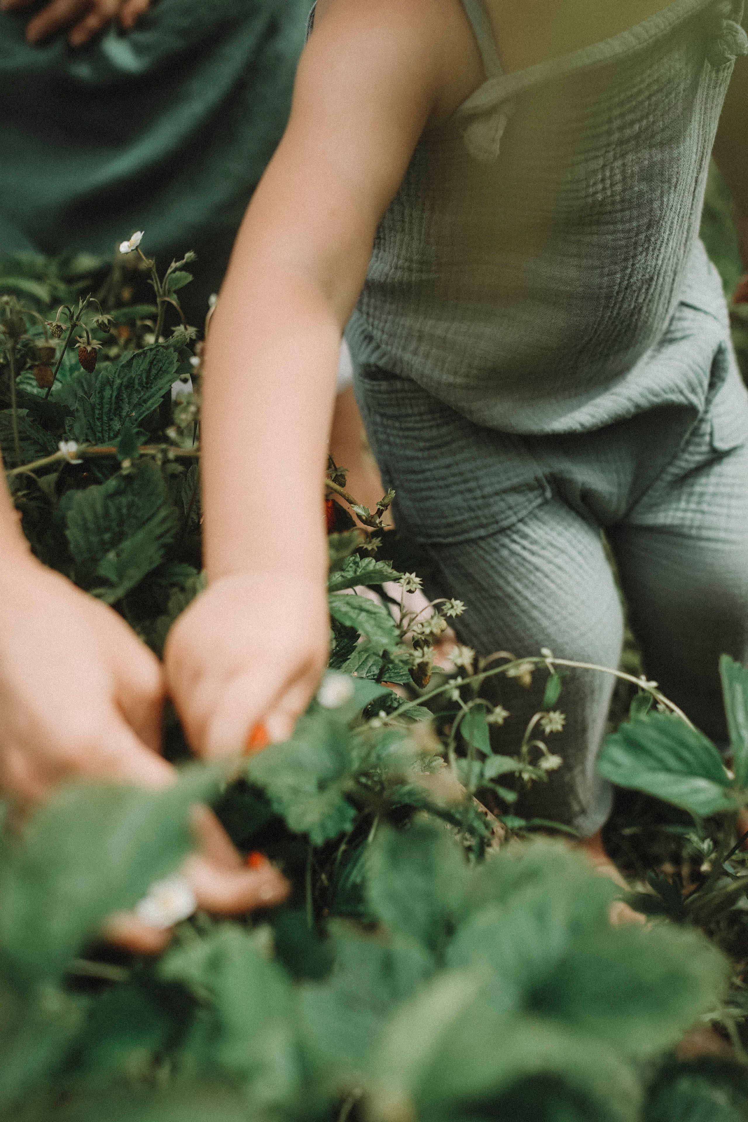 В деревне. Фотограф в Челябинске и Санкт-Петербурге Анна Ивашкова