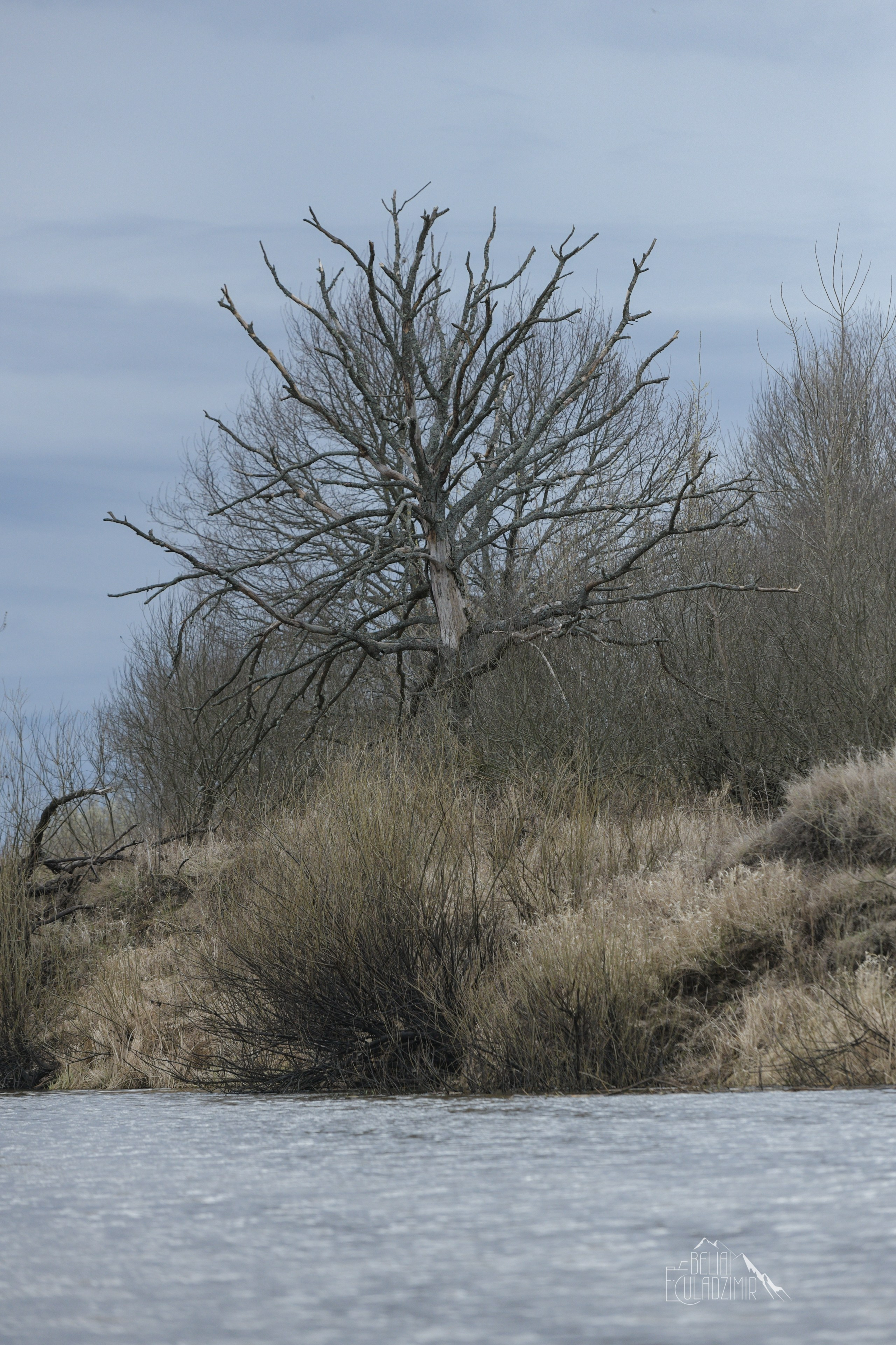 Сплавы 2025. Репортажный фотограф Владимир Беляй