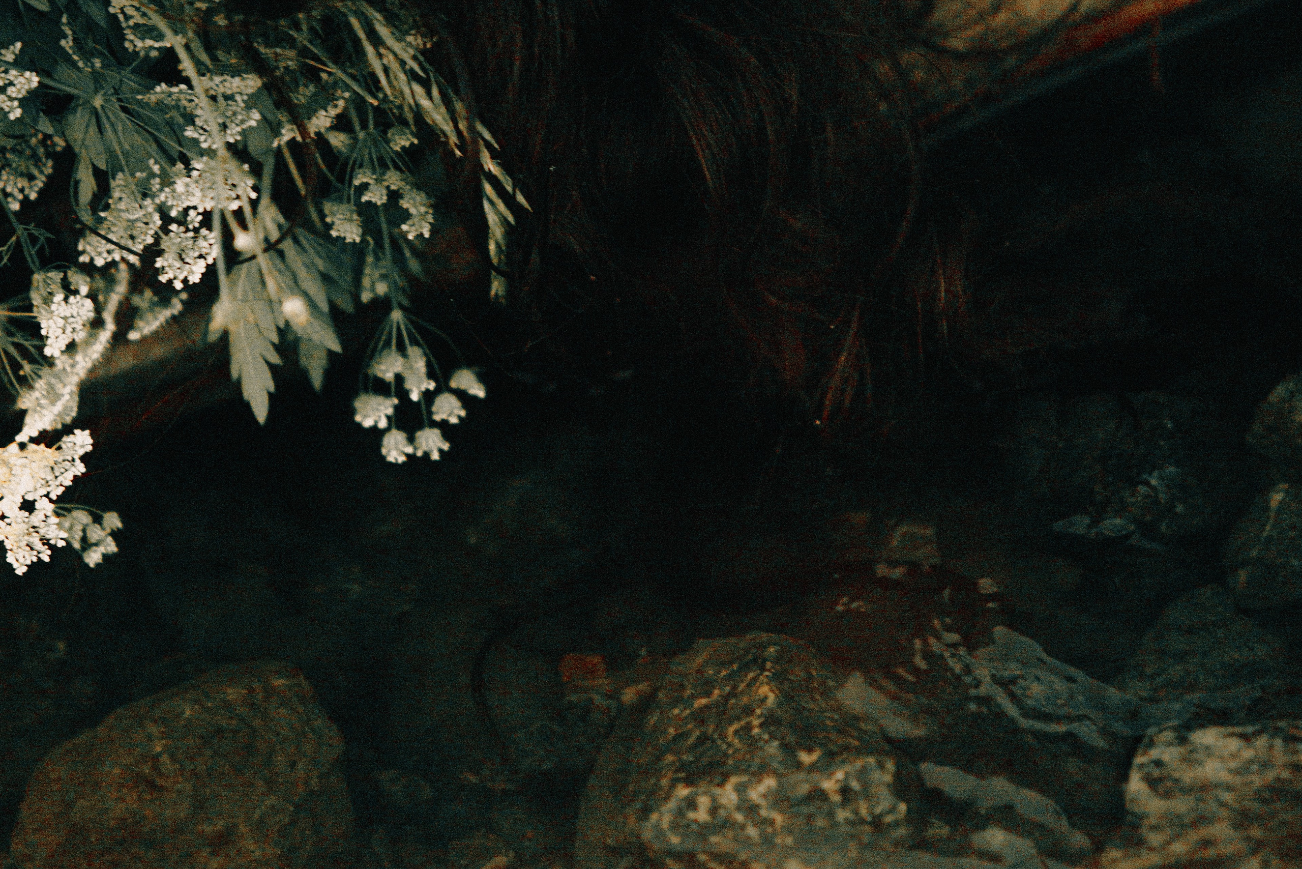 Ивана Купала на закате. Арт-фотограф Крис Л. в Тобольске: портрет, семейные, свадьбы