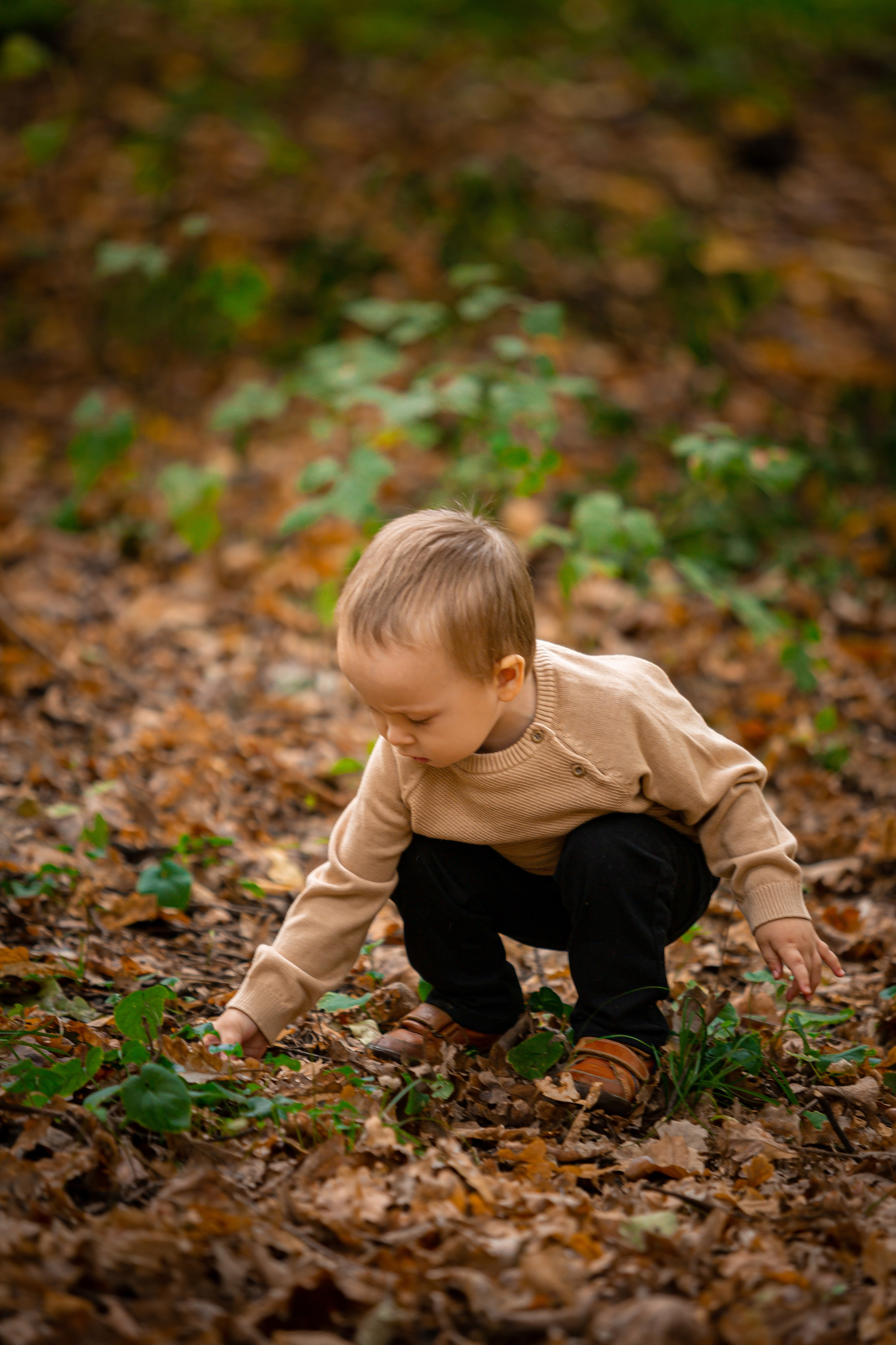 Роща Баума. Осенняя фотопрогулка. Отбасылық фотограф Алена Шаталова