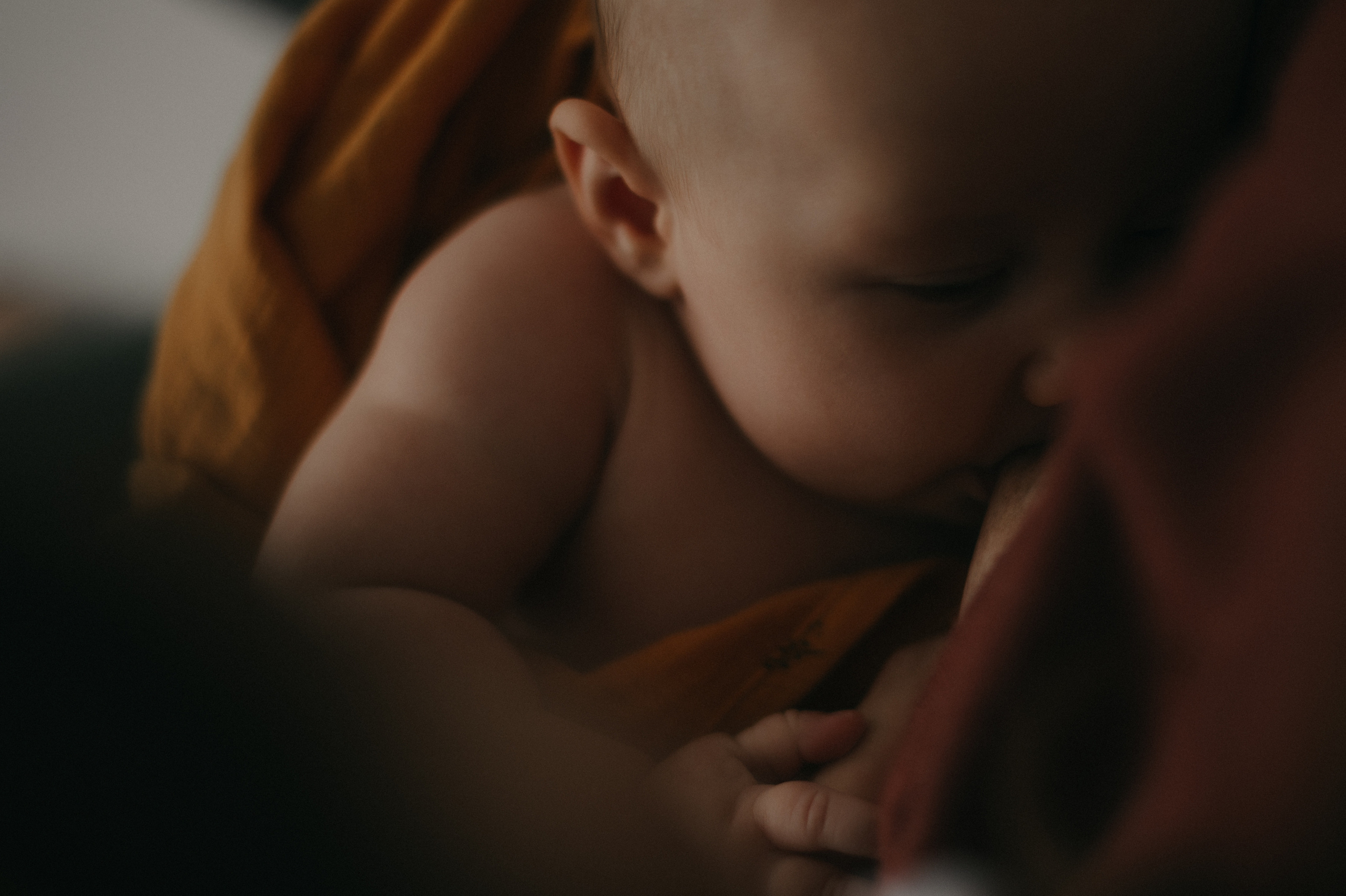 Для Нади, Лёши и маленькой Ксю. Семейный фотограф в Новомосковске, Туле и Москве Ольга Бубликова