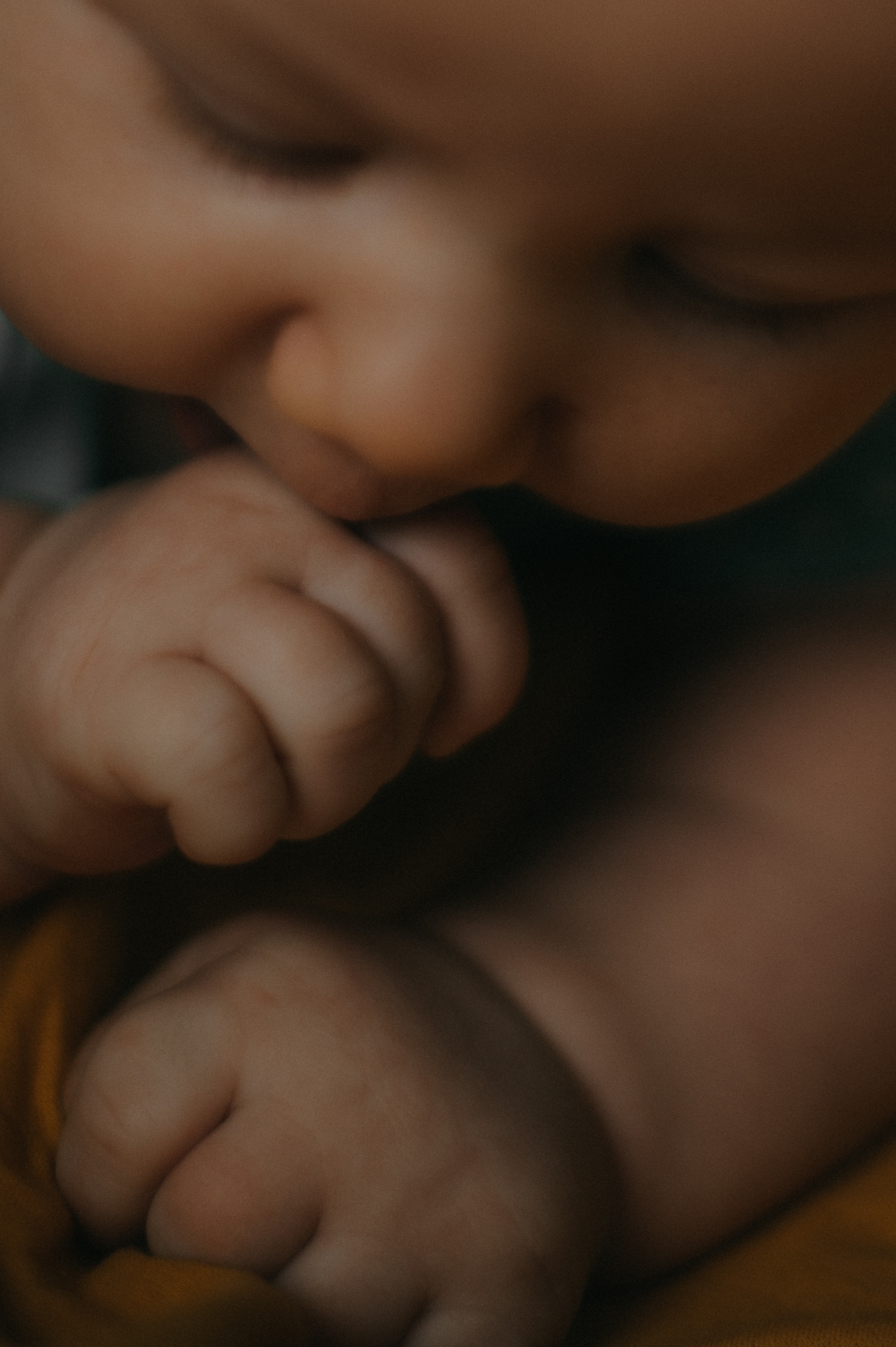 Для Нади, Лёши и маленькой Ксю. Семейный фотограф в Новомосковске, Туле и Москве Ольга Бубликова