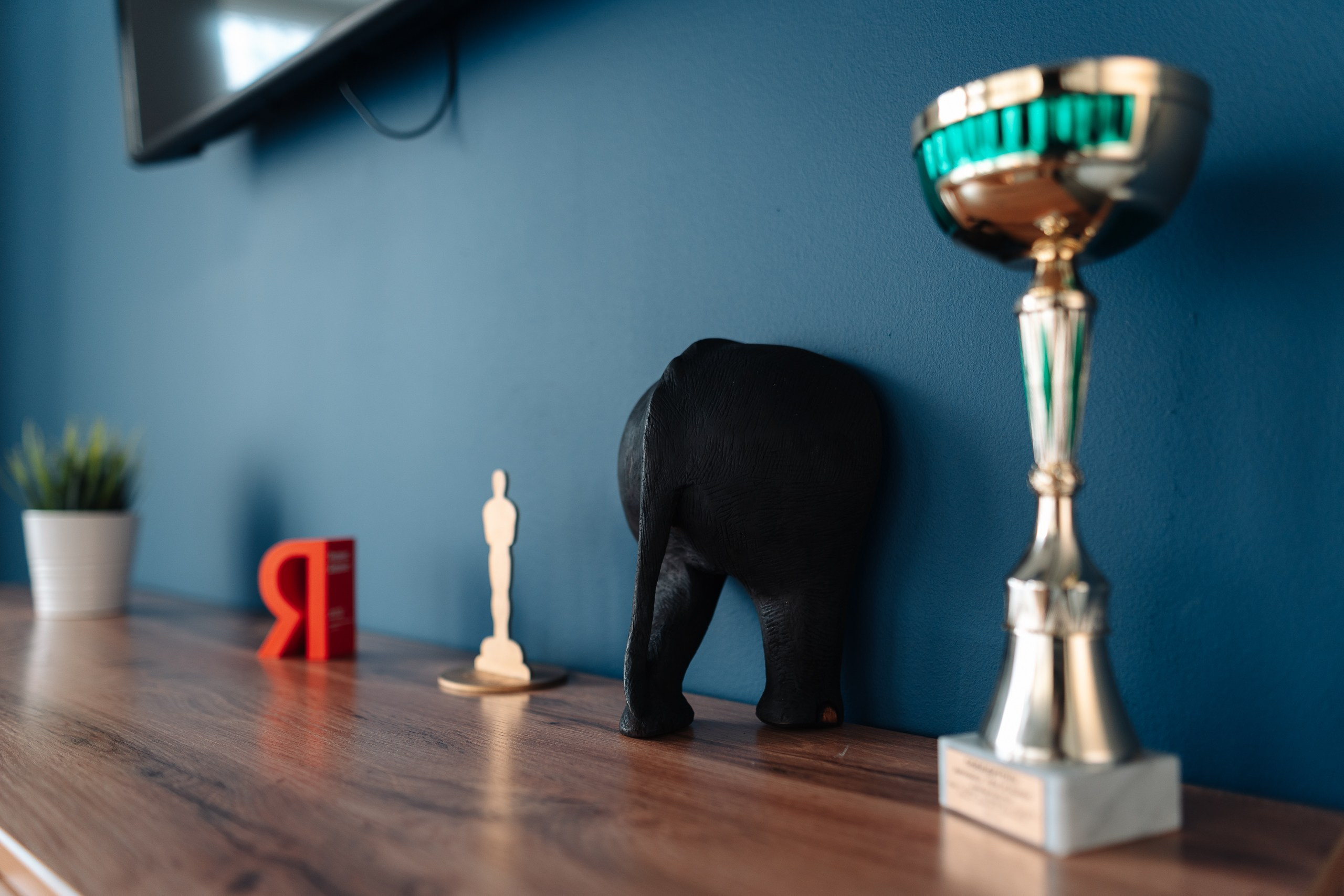 Агентство интернет маркетинга Alente. Репортажный фотограф Красноярск Алекс Чампакхам