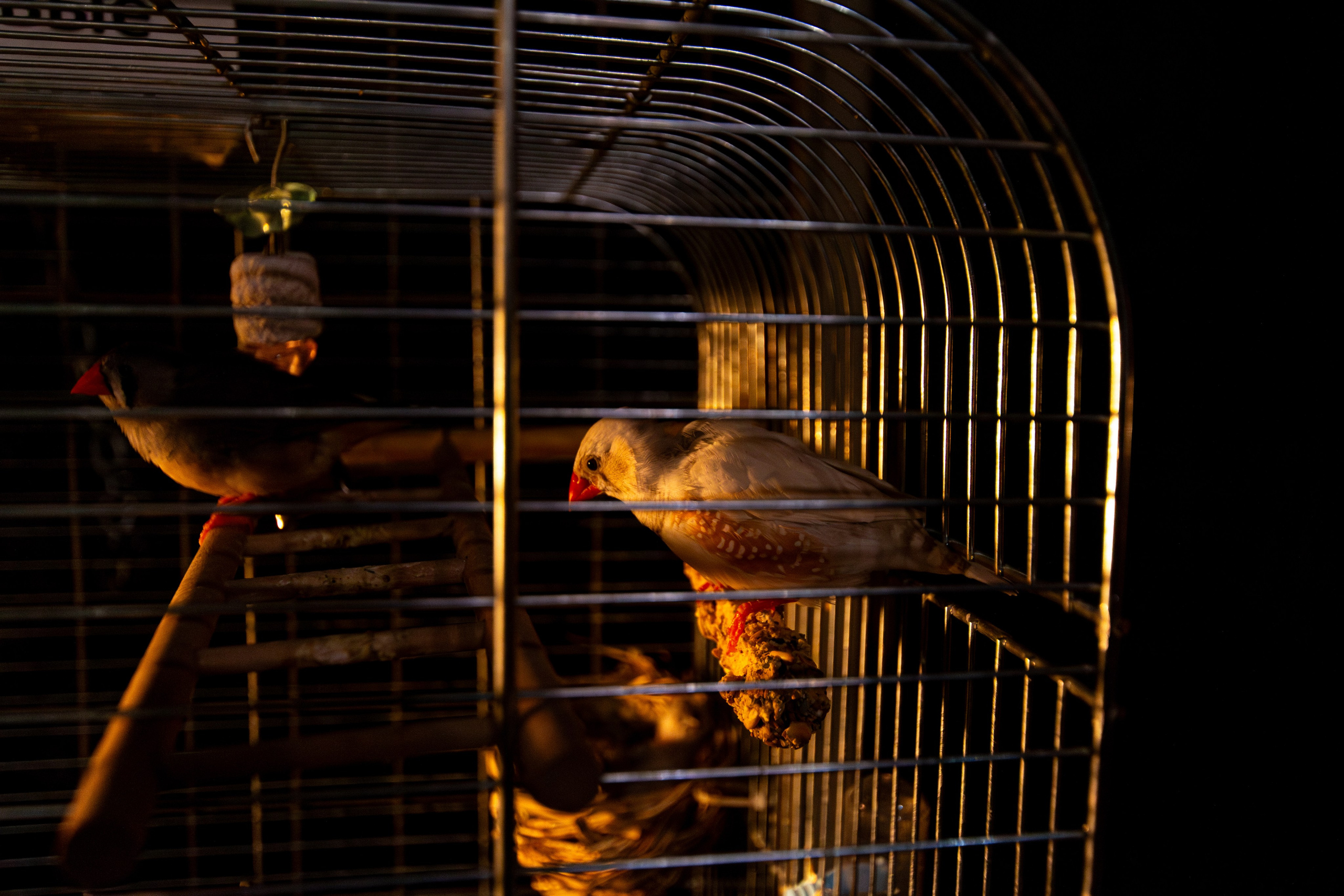 Музей Автомобили мира г. Москва. Фотограф Илья Варакин