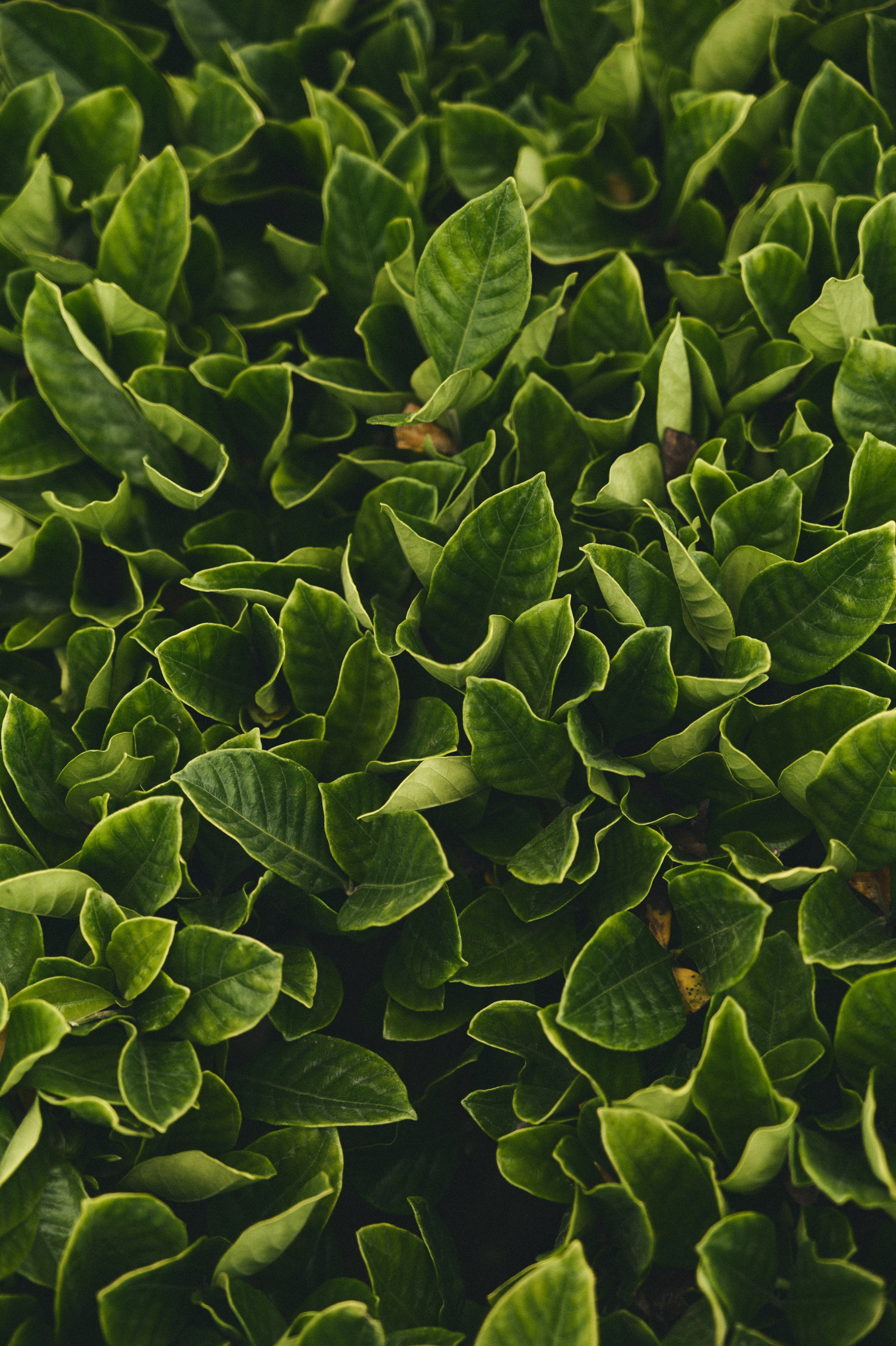 U Magazine x Выездная редакция. Фотограф Сурков Никита