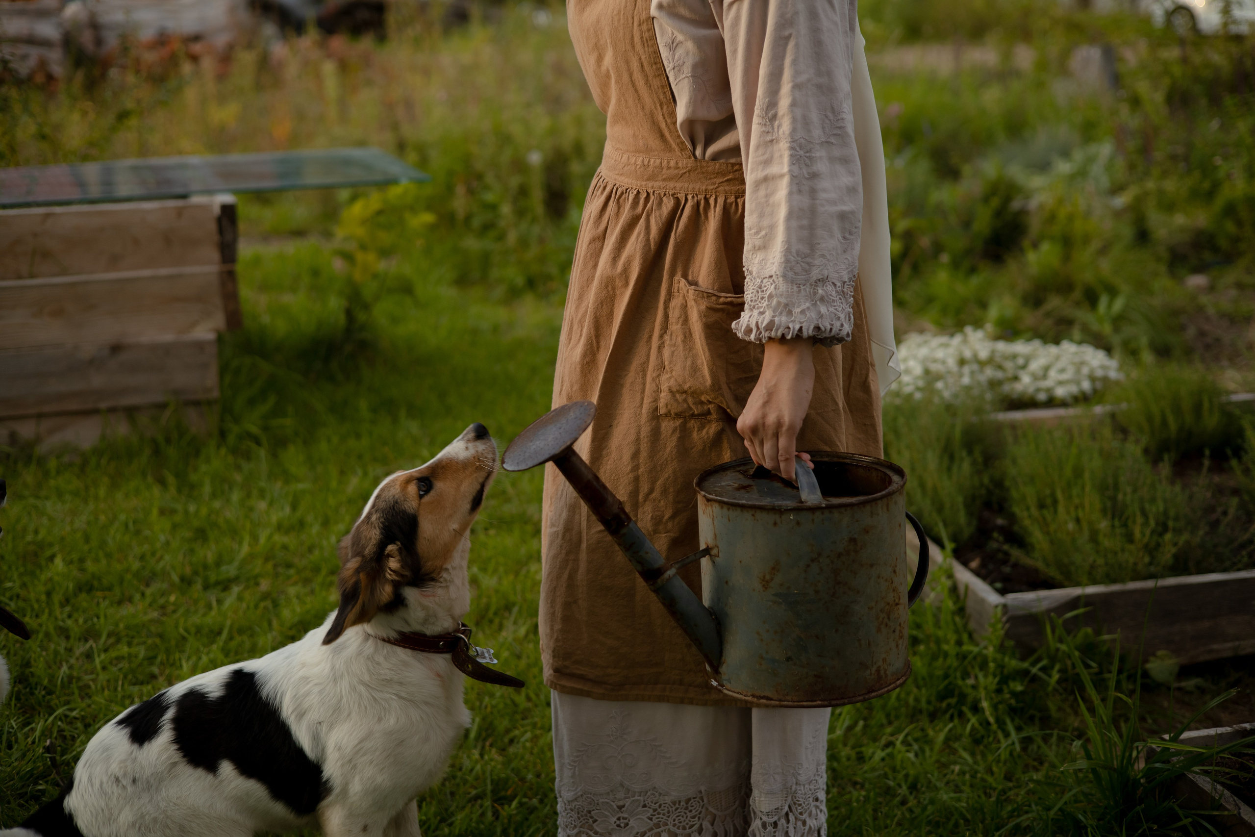 ДИНИЯ. Фотограф Элла Ефимова