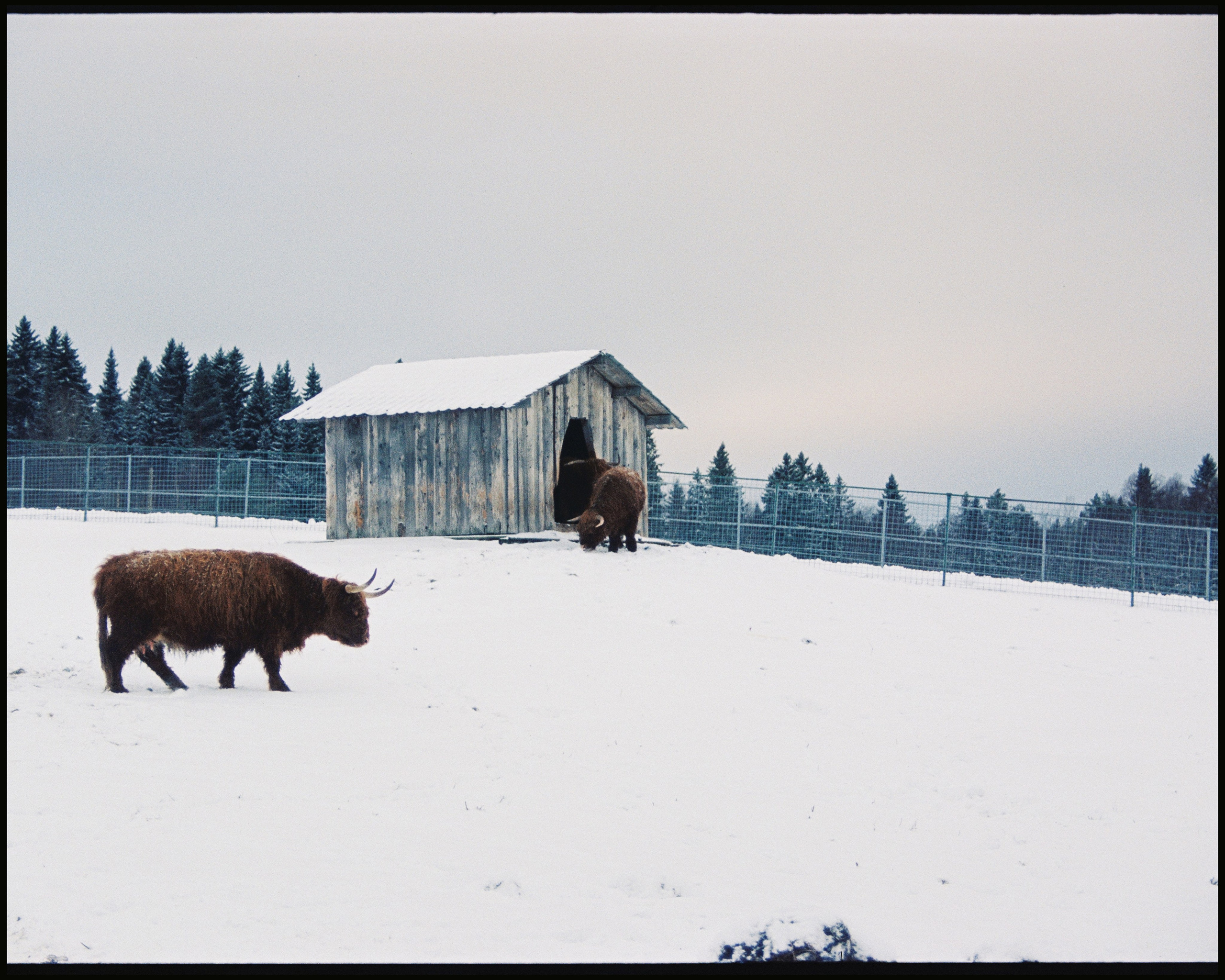 KARELIA. ANNA — PHOTOGRAPHER