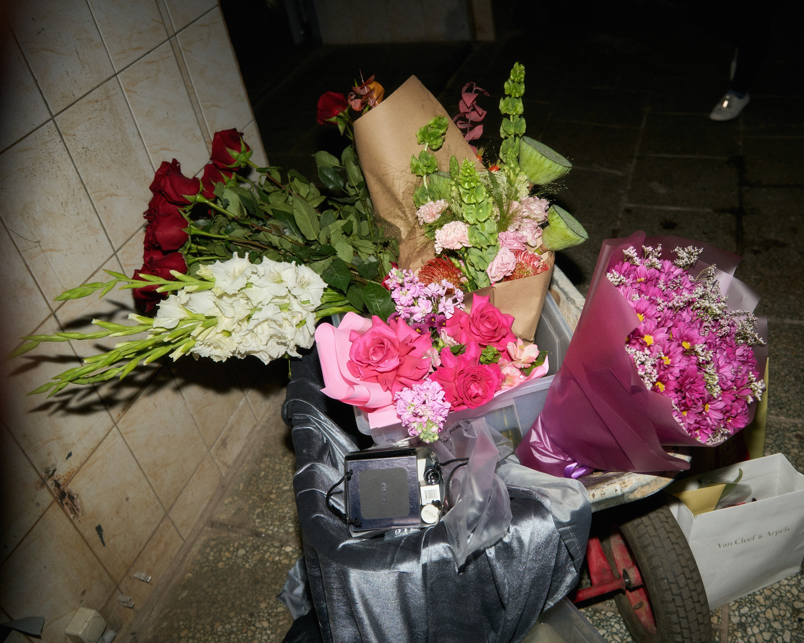 BIRTHDAY PARTY. ANNA — PHOTOGRAPHER