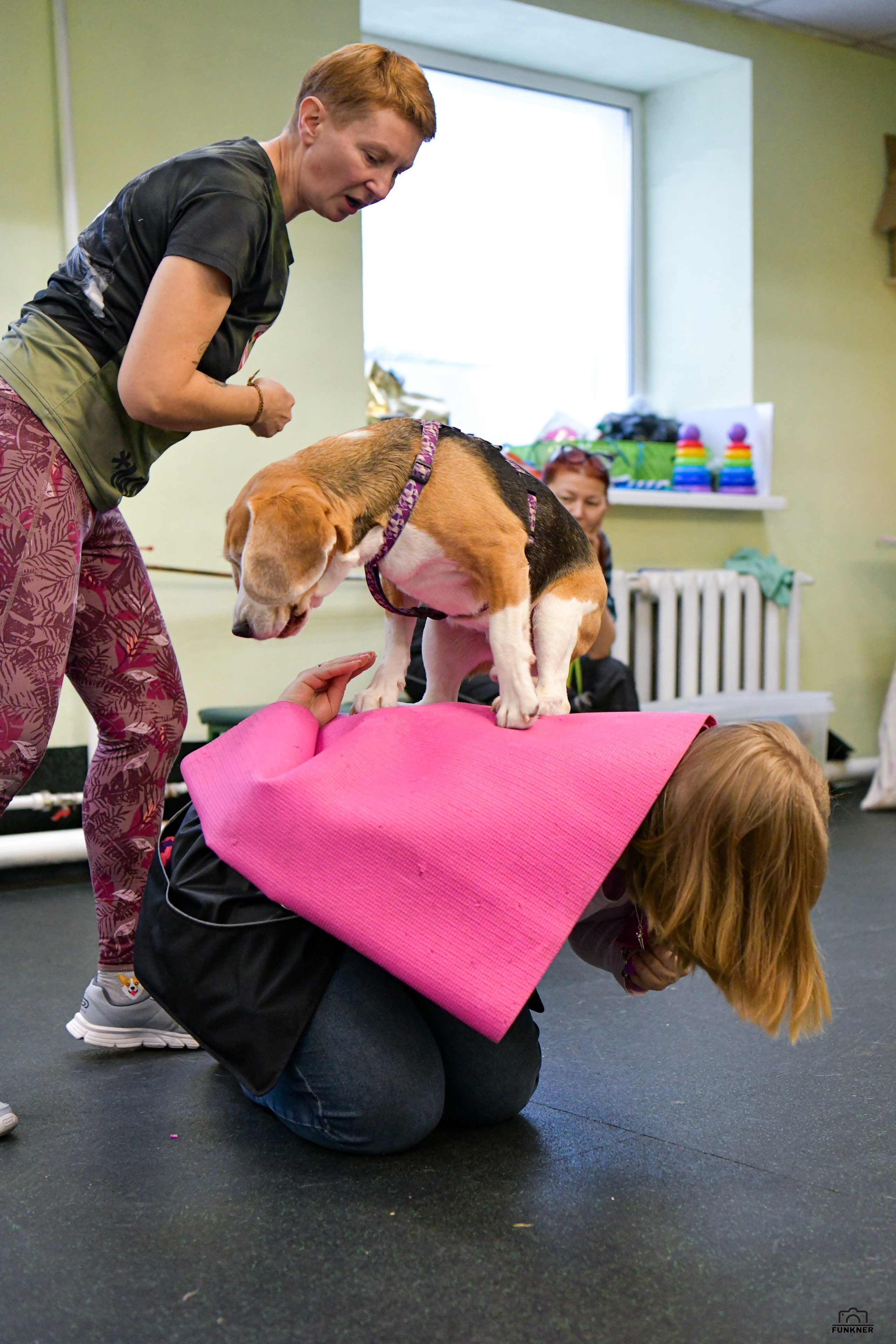 Кинологический клуб «Бодрый хвост». Свой взгляд через объектив