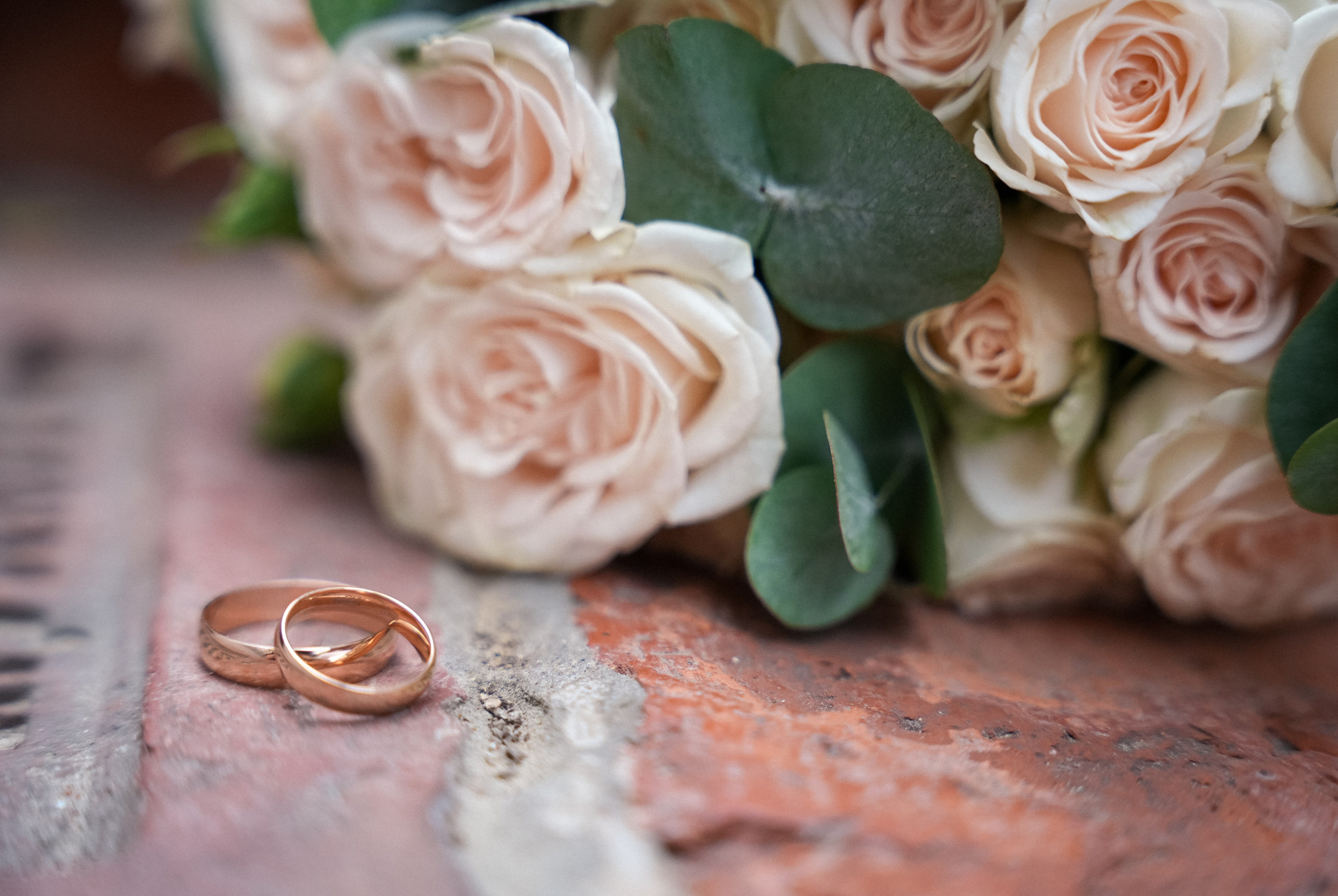 Валентин & Алёна. Фотограф Новороссийск | Геленджик и ЮФО Эльвина Ясинская