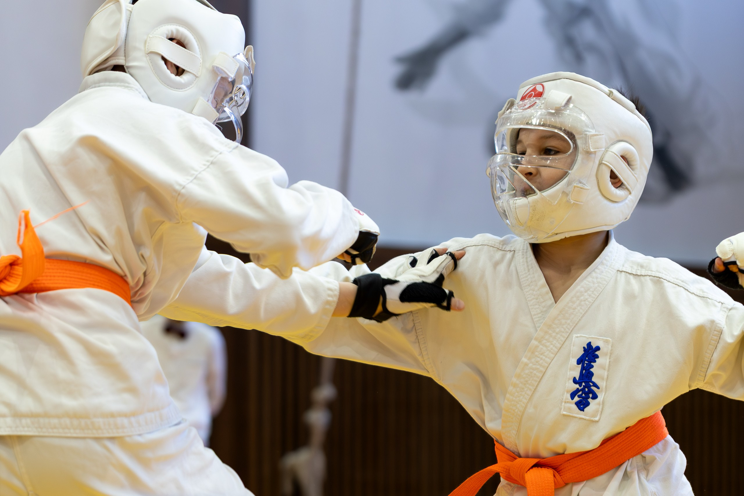 Карате кумите. Главная