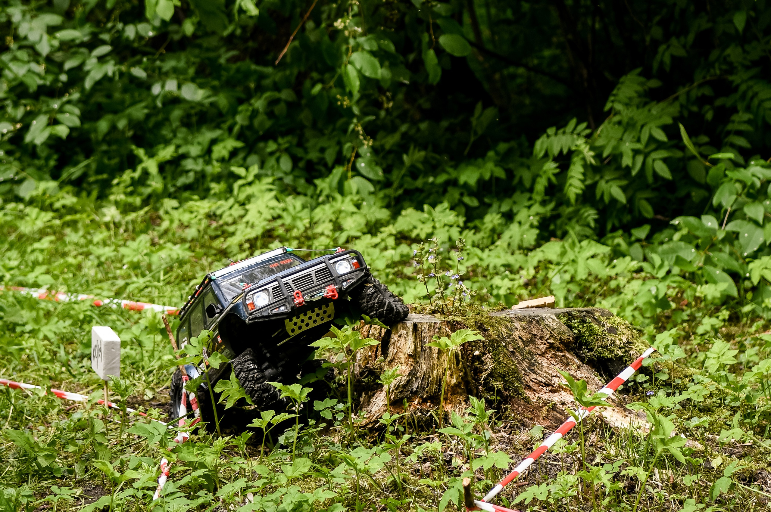1 июня 2025 год Елагин слёт. ОЛЕСЯ ШАФЕРОВА / ВАШ ФОТОГРАФ в Санкт-Петербурге