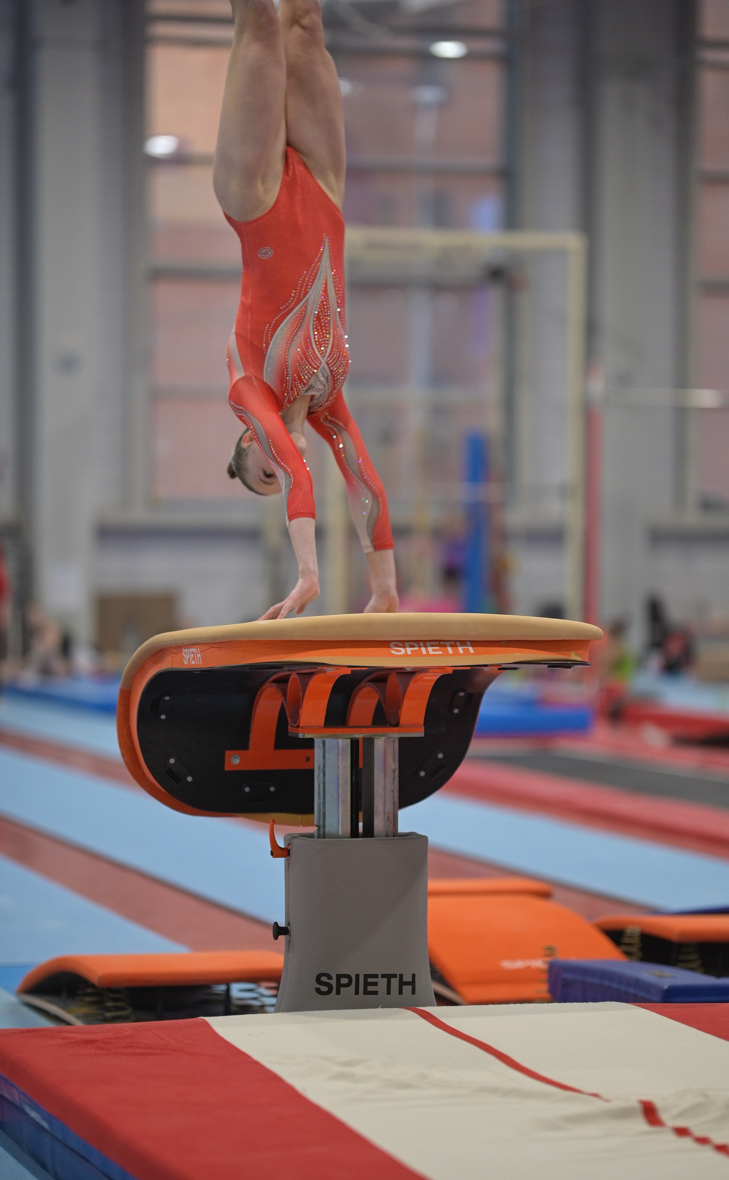 Турнир по спортивной гимнастике Е. М. Замолодчиковой. Фотограф Ваших событий 📸