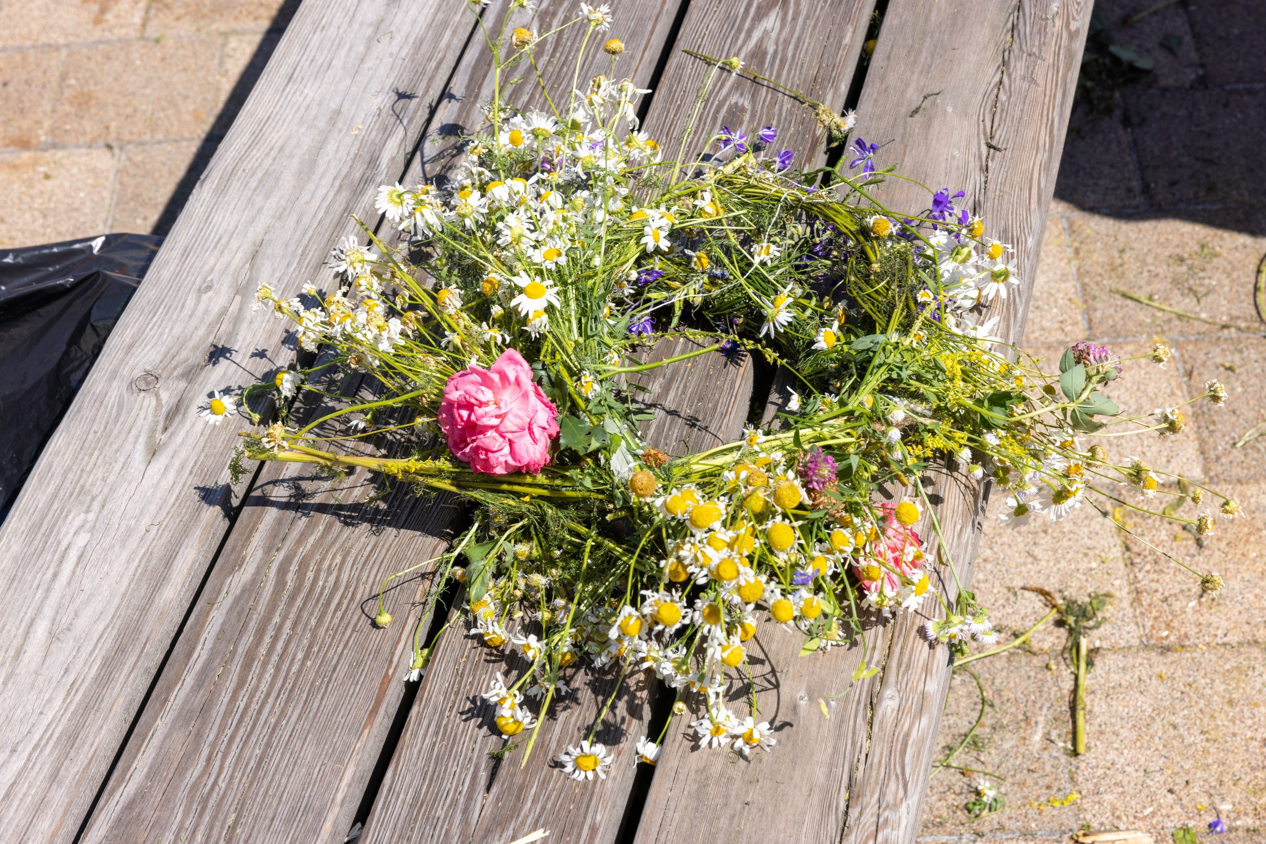 Фестиваль «Ромашковый хоровод». Северная ходьба. Фотограф в Туле Крупский АнДРей. Фотостудия «КАДР71» в Туле