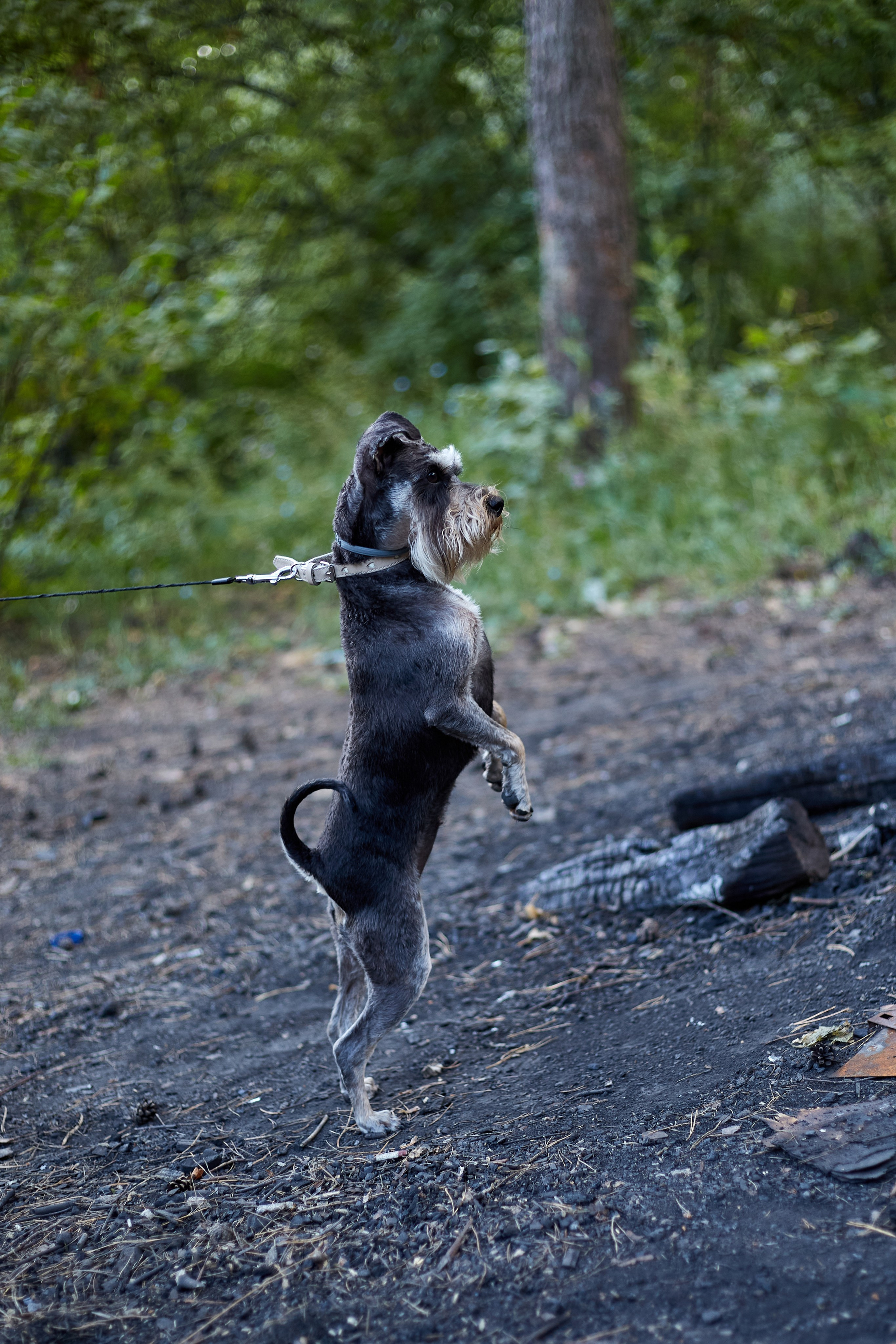 Егор, Маша, Боня