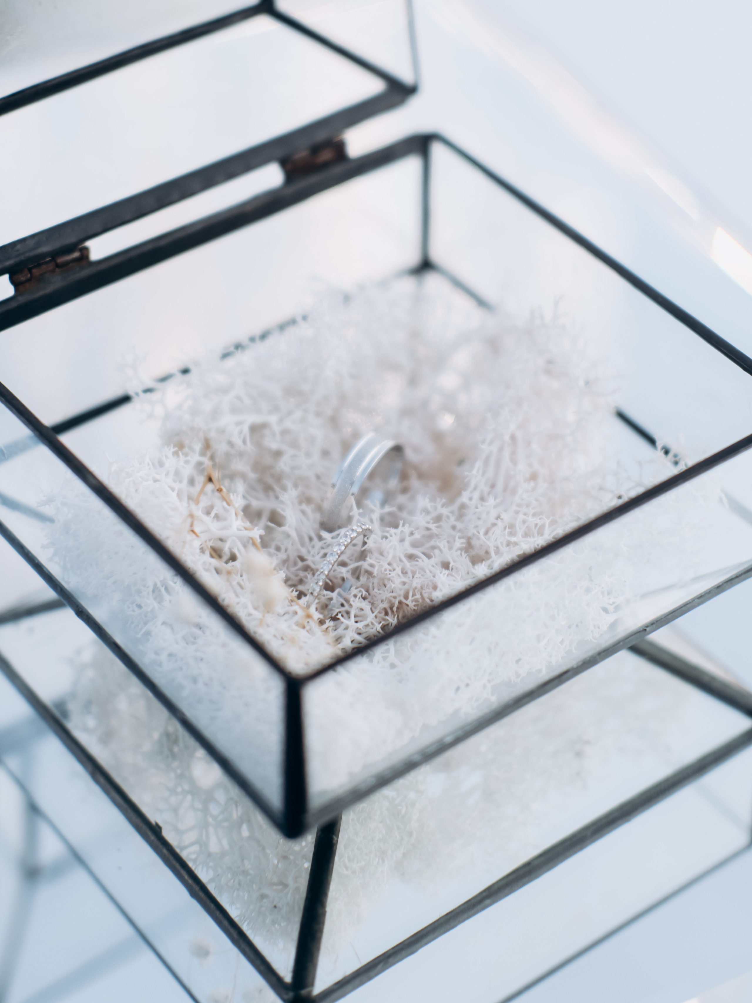 Артем и Надежда. Свадебный фотограф в Воронеже