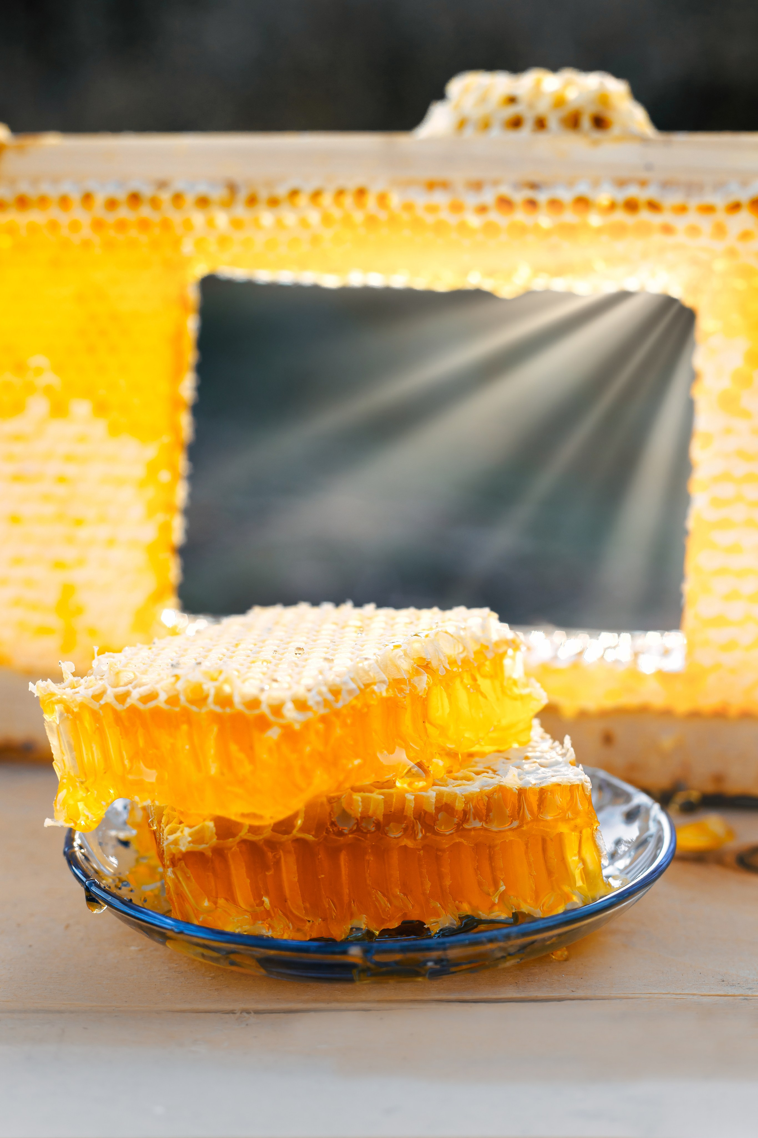 Контент фотосессия для частной пасеки. Свадебный и семейный фотограф в Краснодарском крае Мария Данилкина