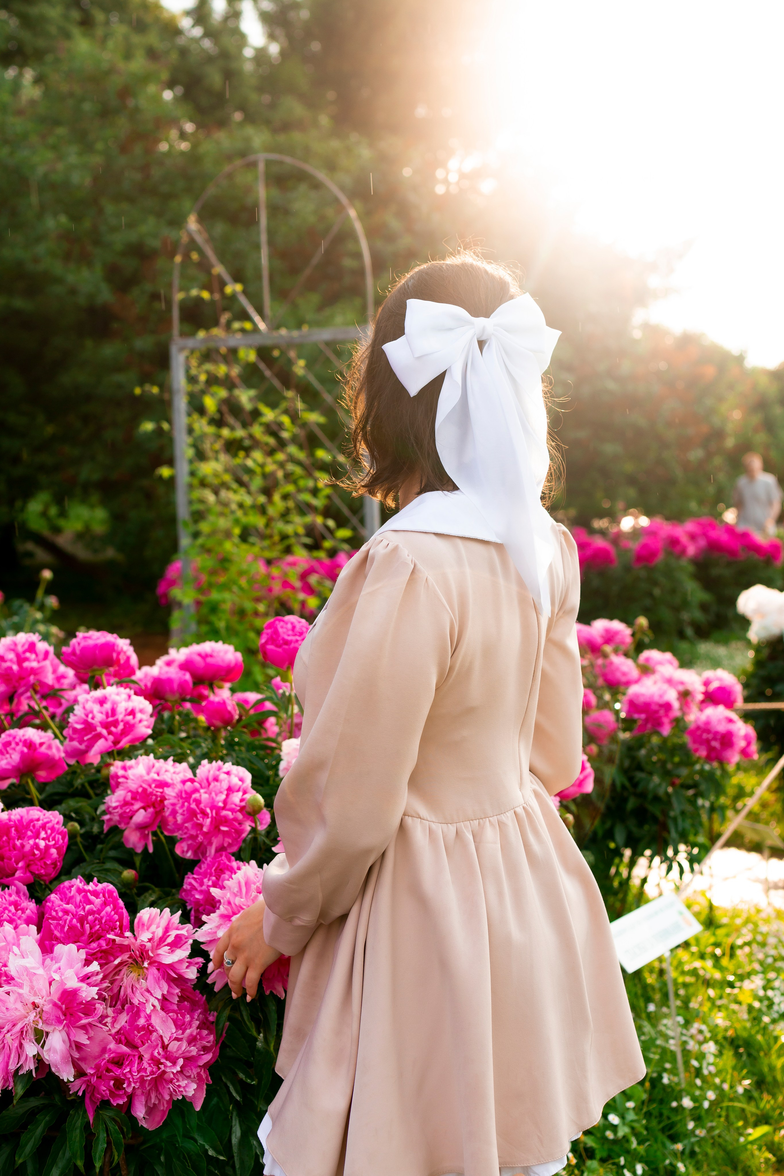 Цветение. Главная