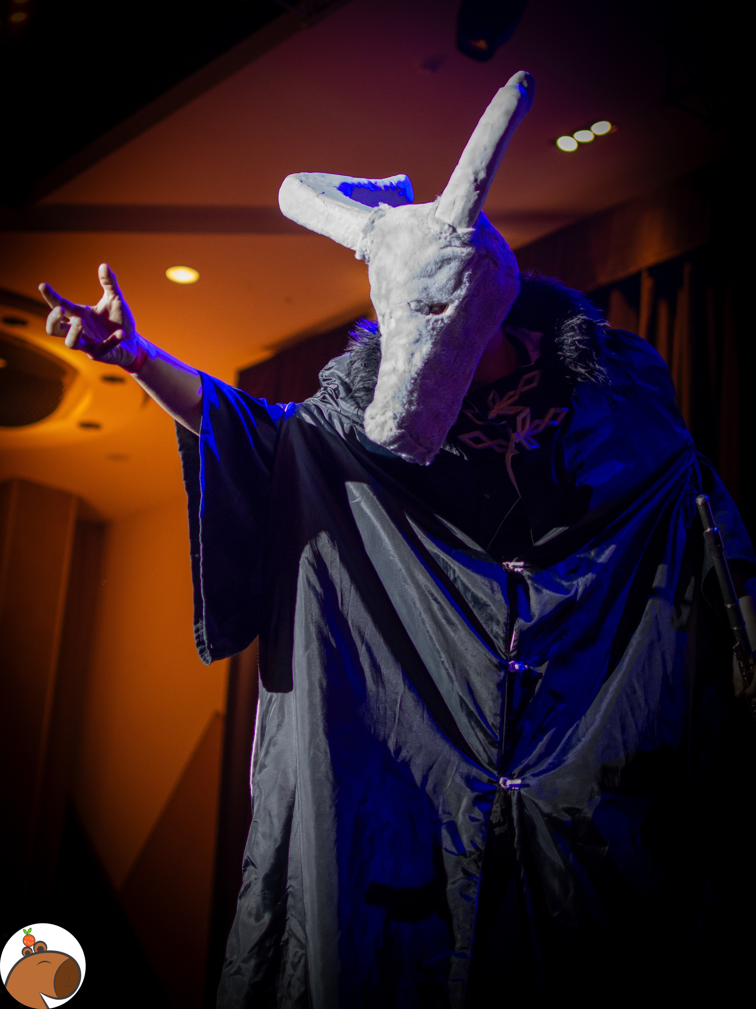 5 ночей с Капибарой. Уголок Капибарки