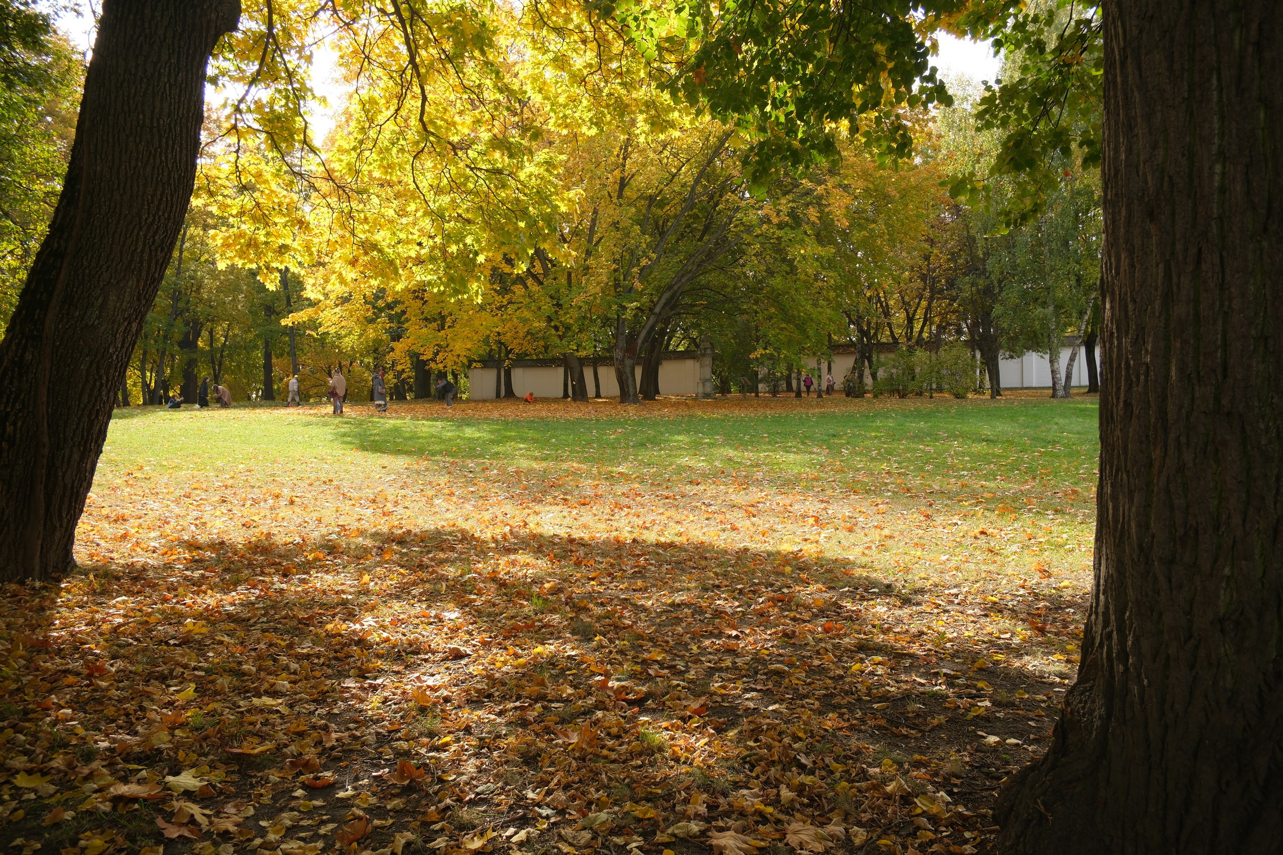 Коломенское 04.10.2025. Улица, люди, жизнь…