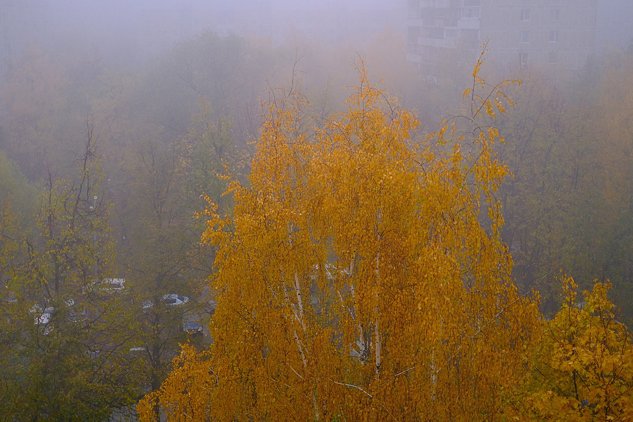 Осень 2023. Улица, люди, жизнь…