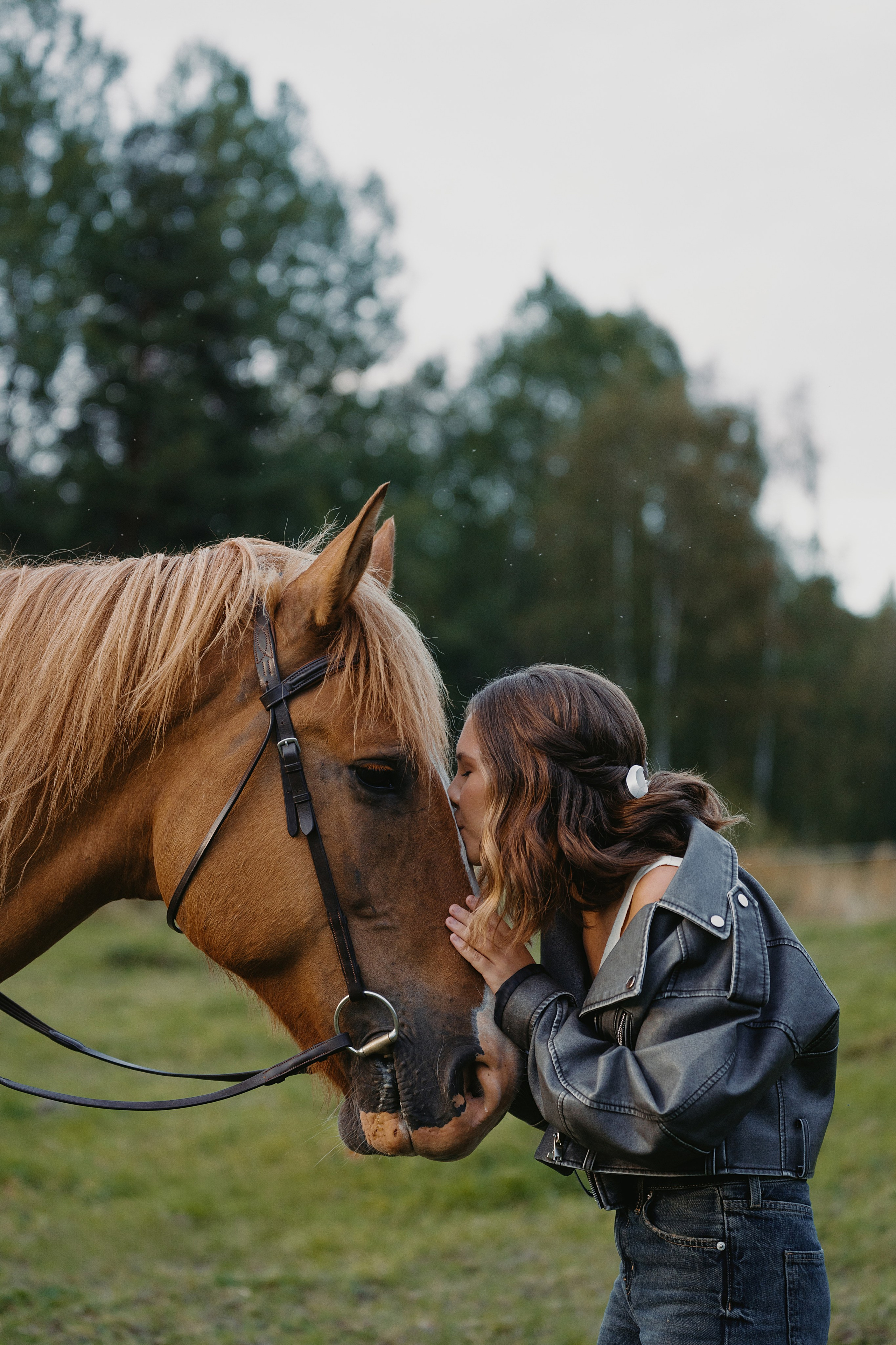 Конные. Главная