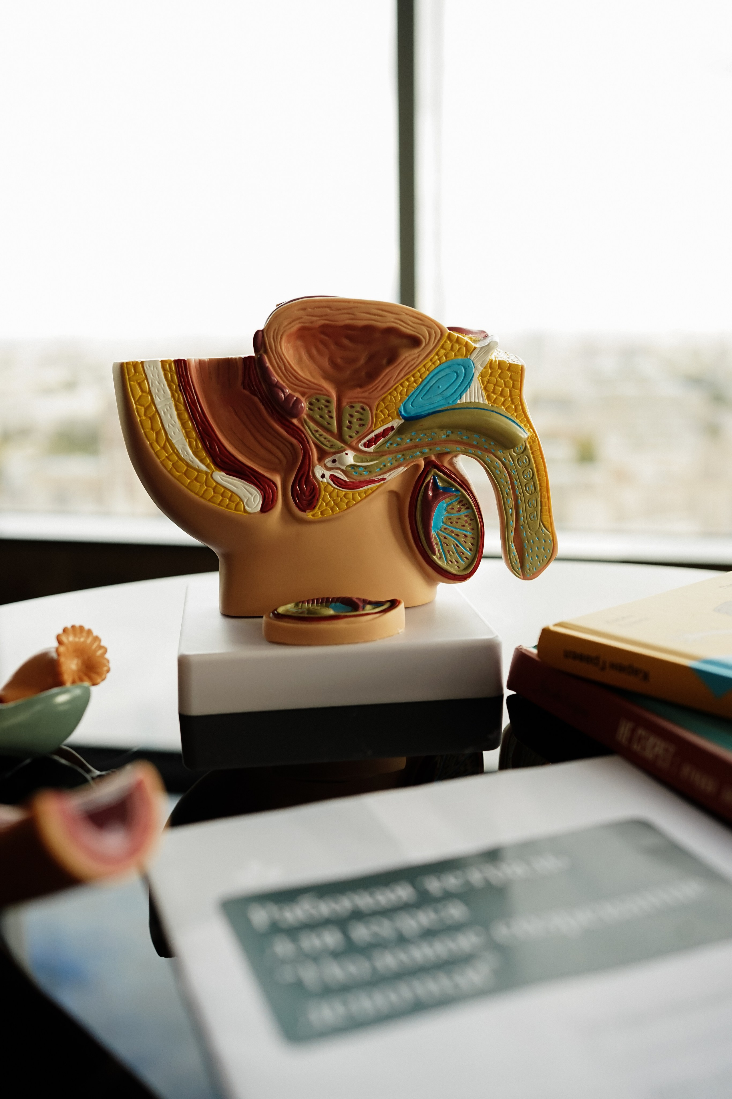 Ксения Эксперт по половому созреванию. Фотограф Ольга Игорева