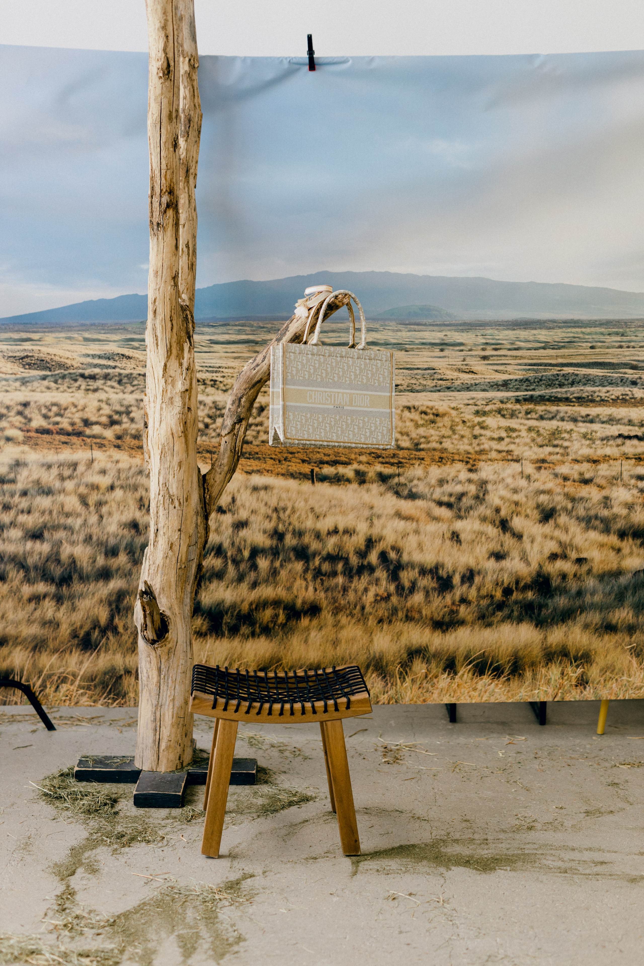 Степь. Варвара Синицына: семейный фотограф в Москве
