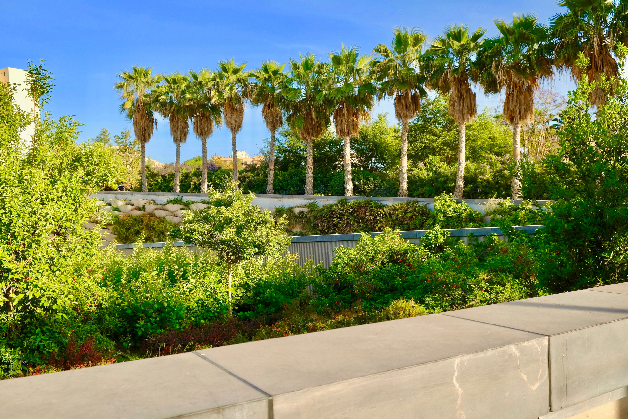 Центральный парк Валенсии (Испания). Гид и фотограф в Валенсии Новиков Михаил