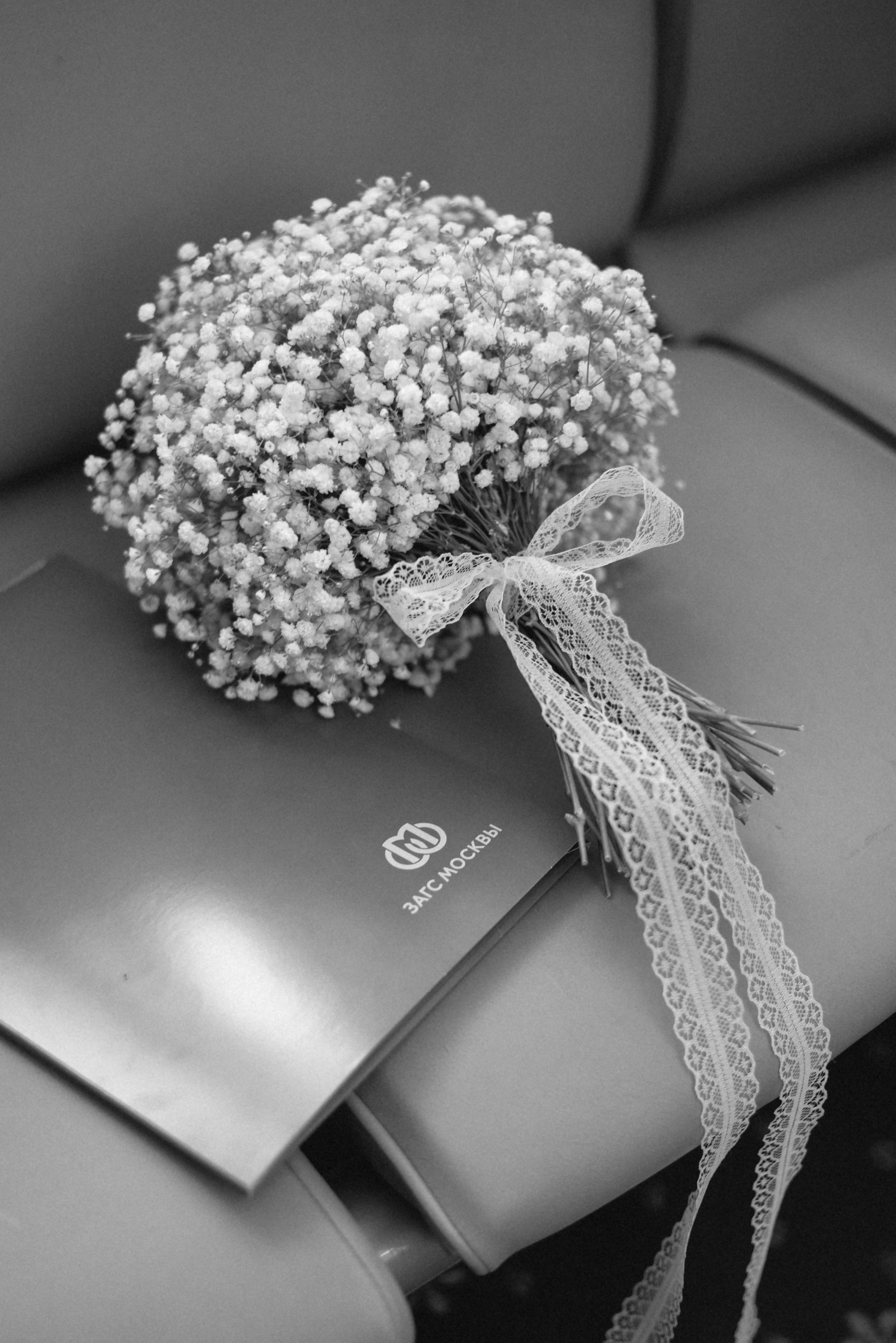 Ветреный день у Грибоедовского. Фотограф Лола Волна, город Москва