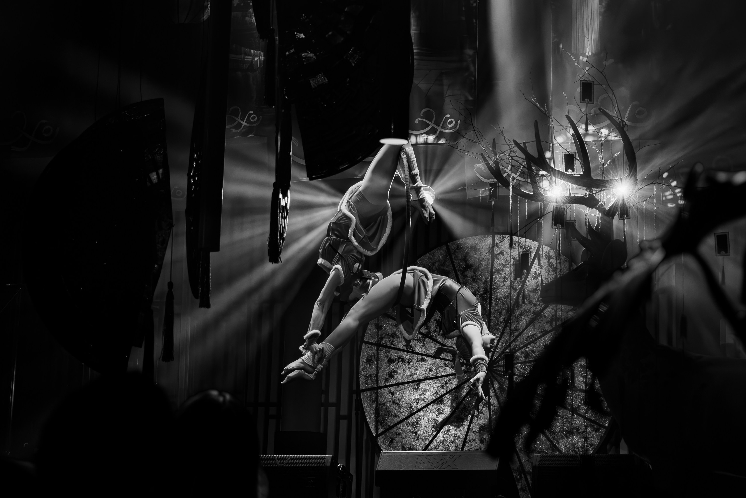 ЭХО новый год 2025. Фотограф из Хабаровска Юлия Черёмушкина