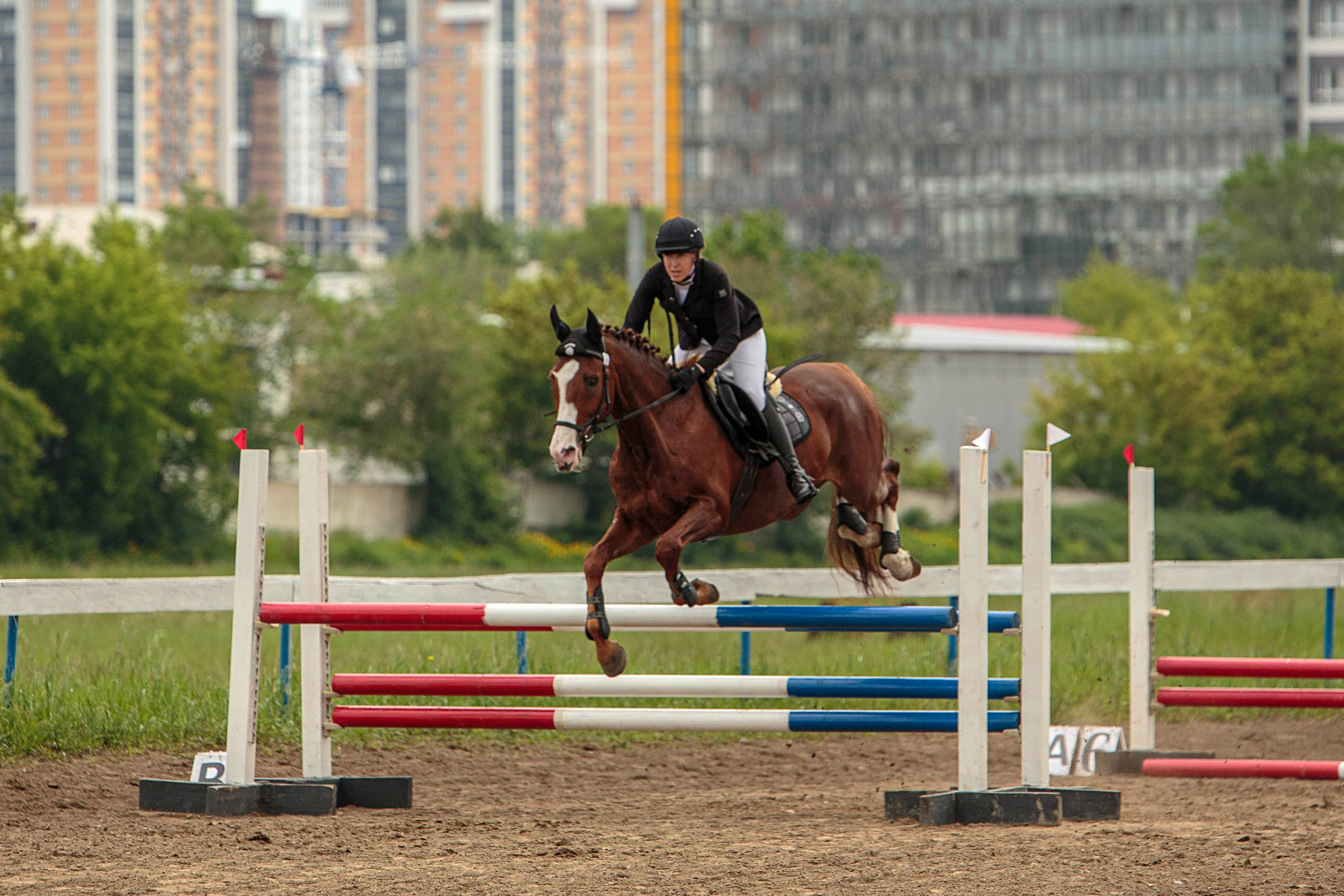 2024. Конный фотограф в Красноярске — Любовь Похабова