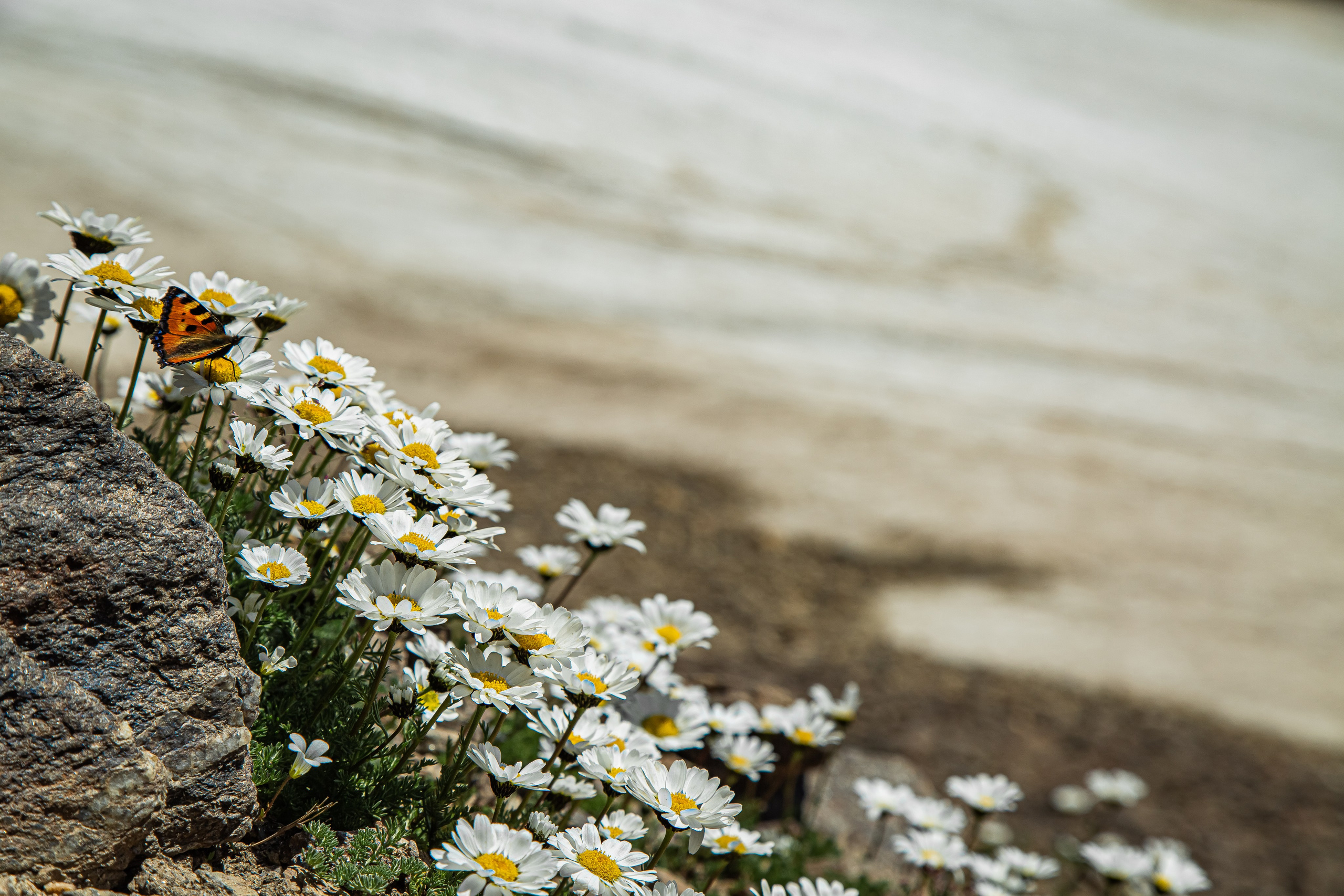 КАВКАЗ. Авторские туры с профессиональным фотографом