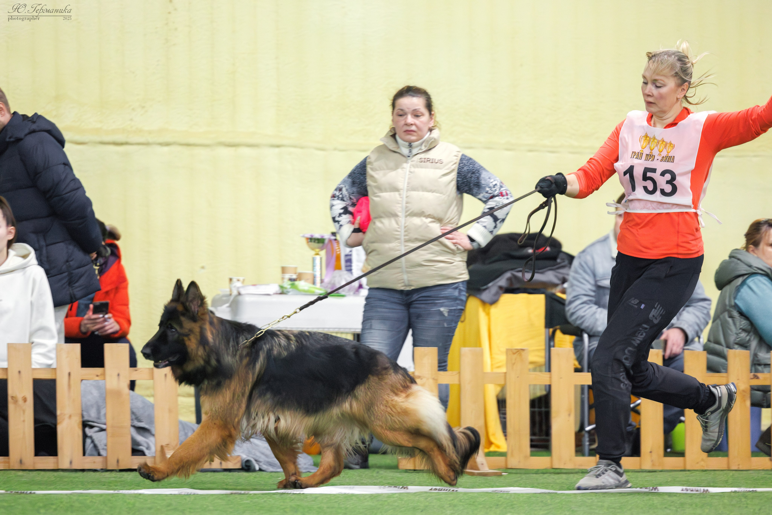 Гран-При 8.02.2025 и Крокус 09.02.2025. Фотограф-анималист Юлия Германика