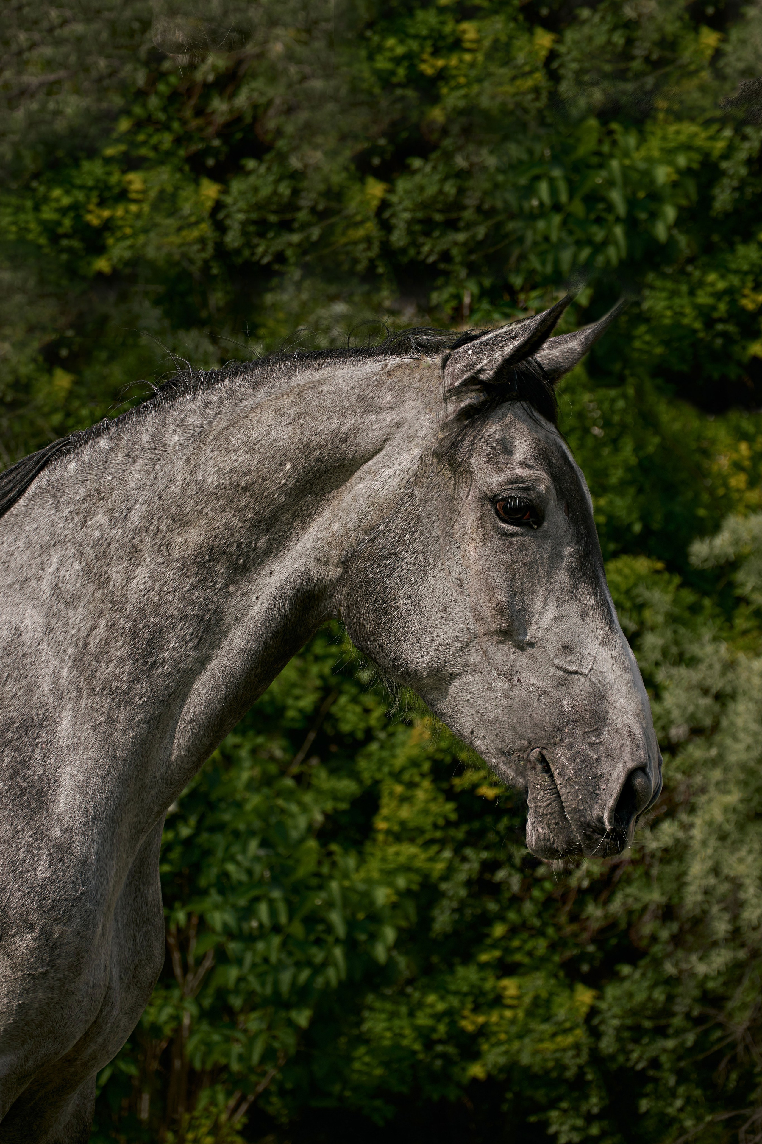 Глазурь. Фотограф в Севастополе