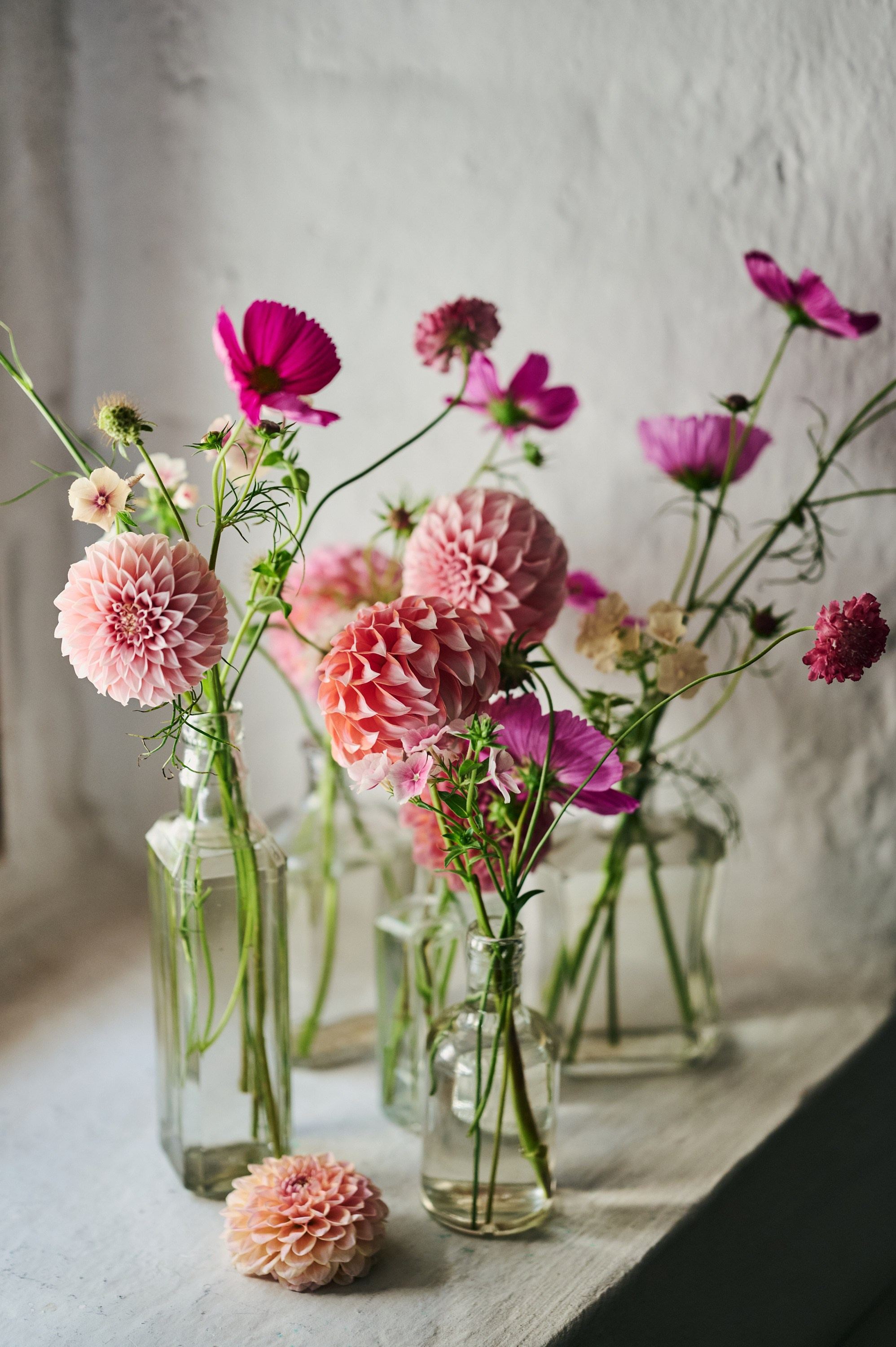 Кенгуру х Палаты. Фотограф Сергей Бойко Москва