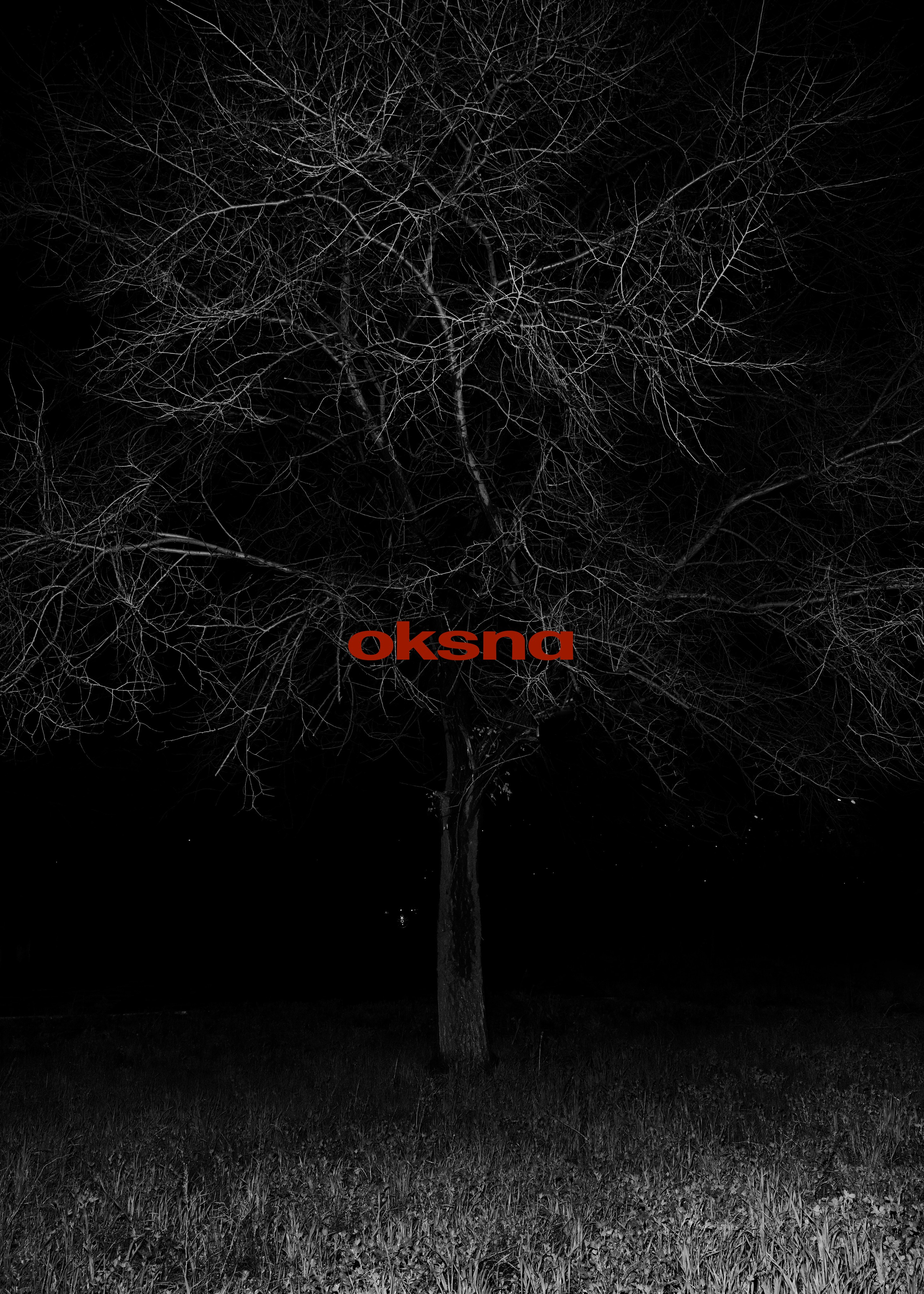 OKSNA CAMPAIGN. Ostronkova_ph