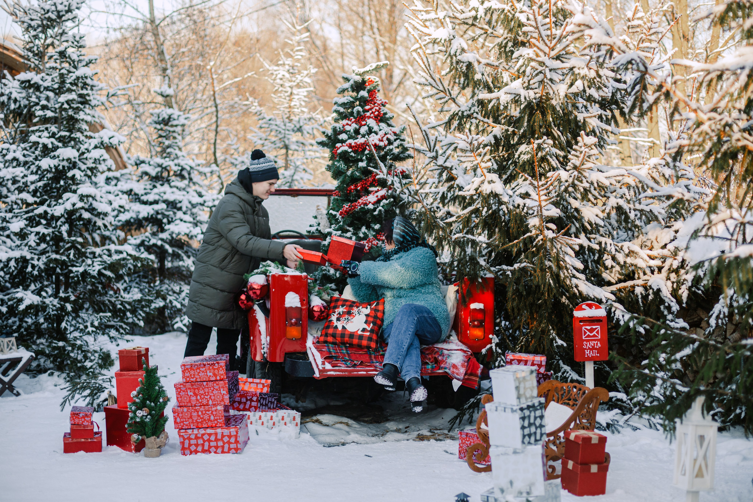 Зингер дача. Фотограф-анималист Татьяна Степанова