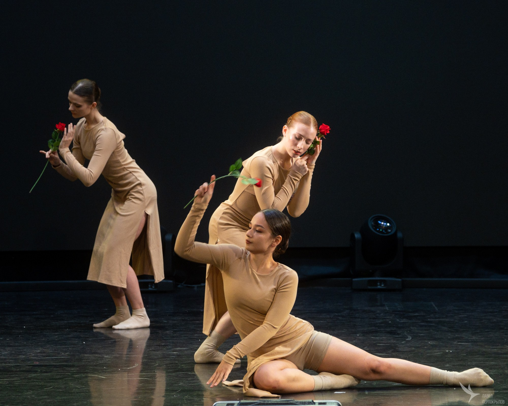 Сияние Звезд. Репортажный фотограф в Казани Павел Серпокрылов