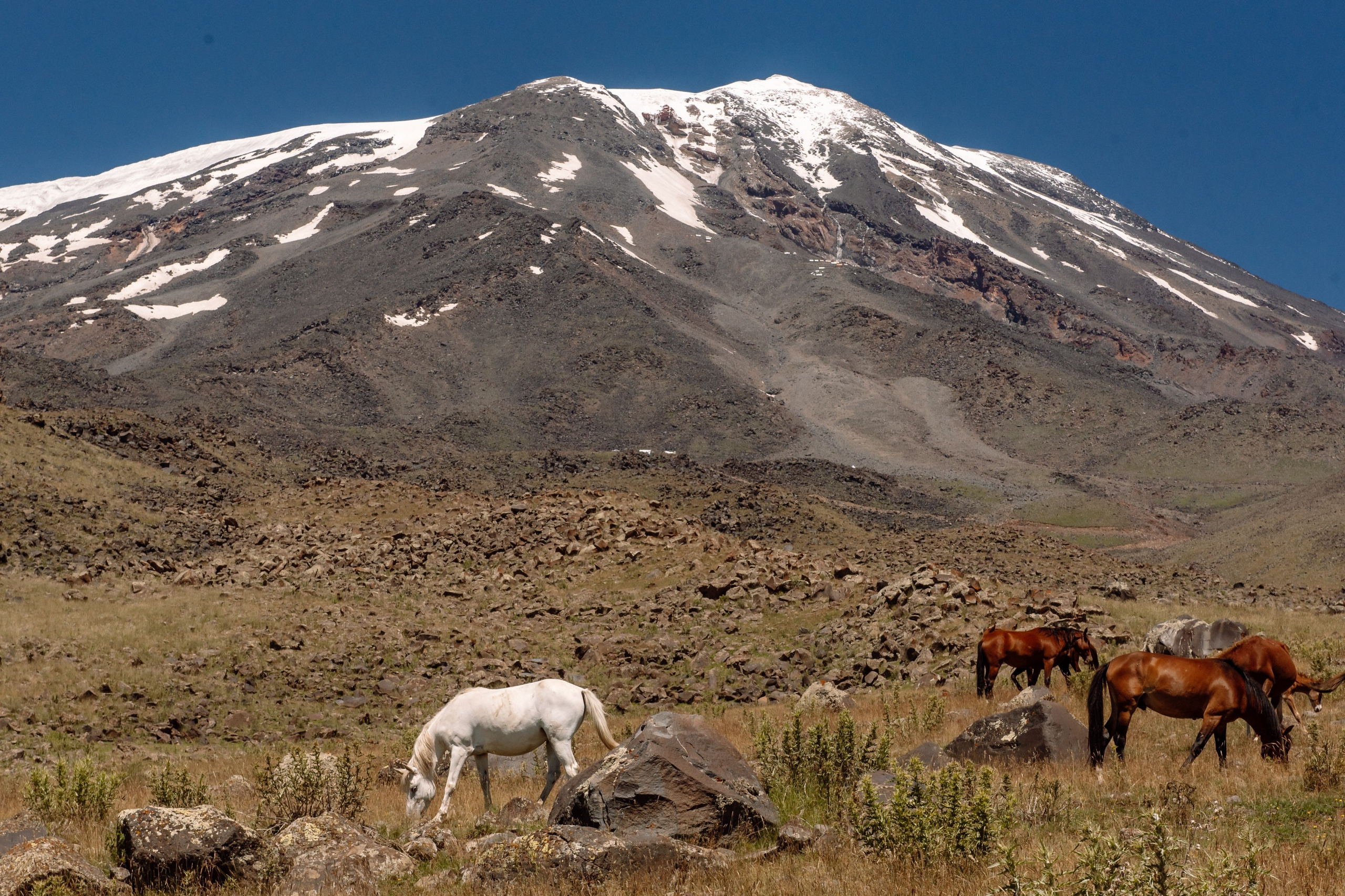 Восхождение на 5137 метров. Репортажный фотограф в Москве и по всему миру Степанова Юлия