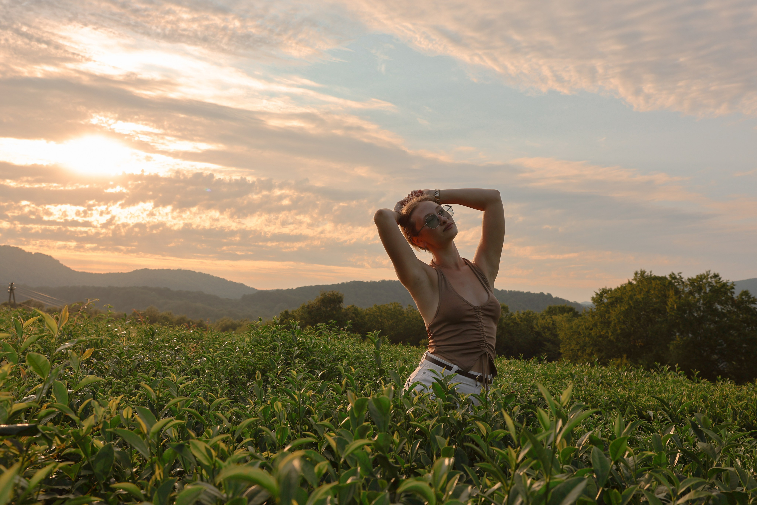 ЧАЙНЫЕ ПЛАНТАЦИИ. Фотограф Москва Оля Олбимак